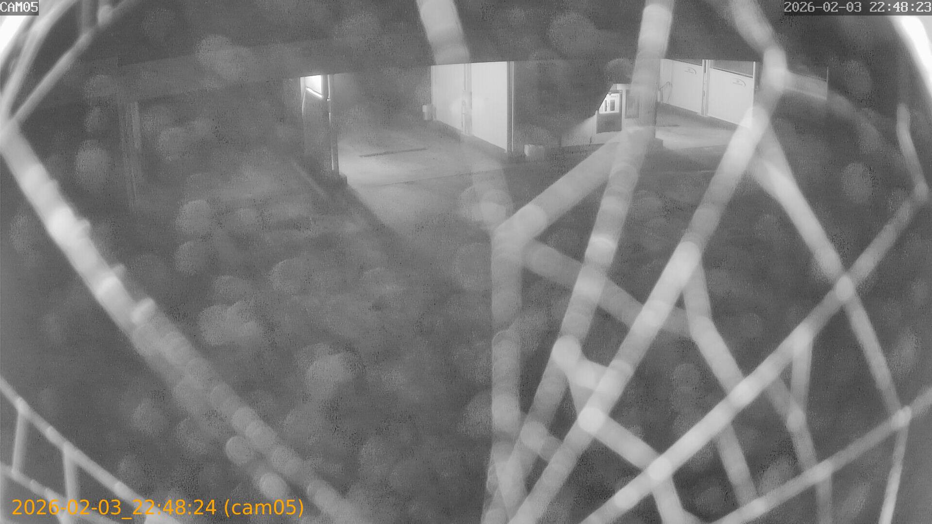 thumbnail_20260203224824