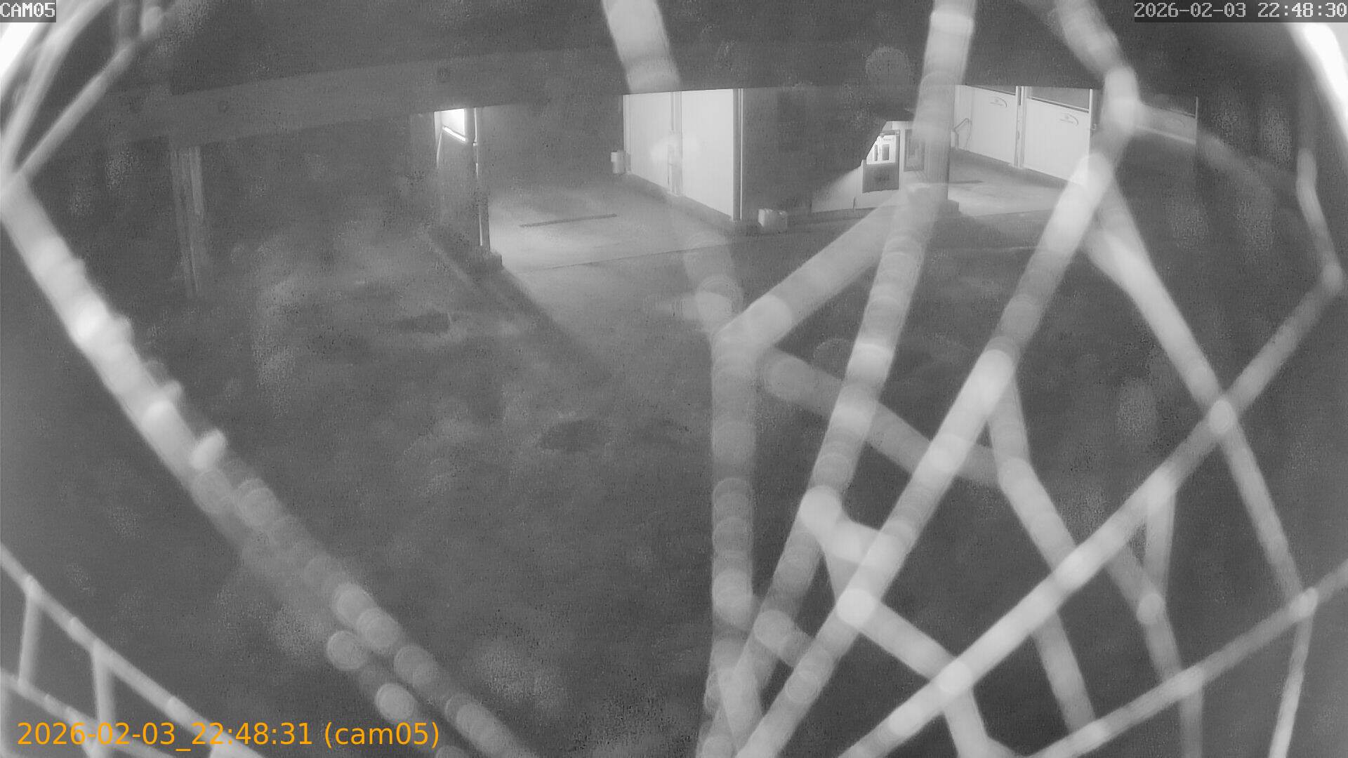 thumbnail_20260203224831