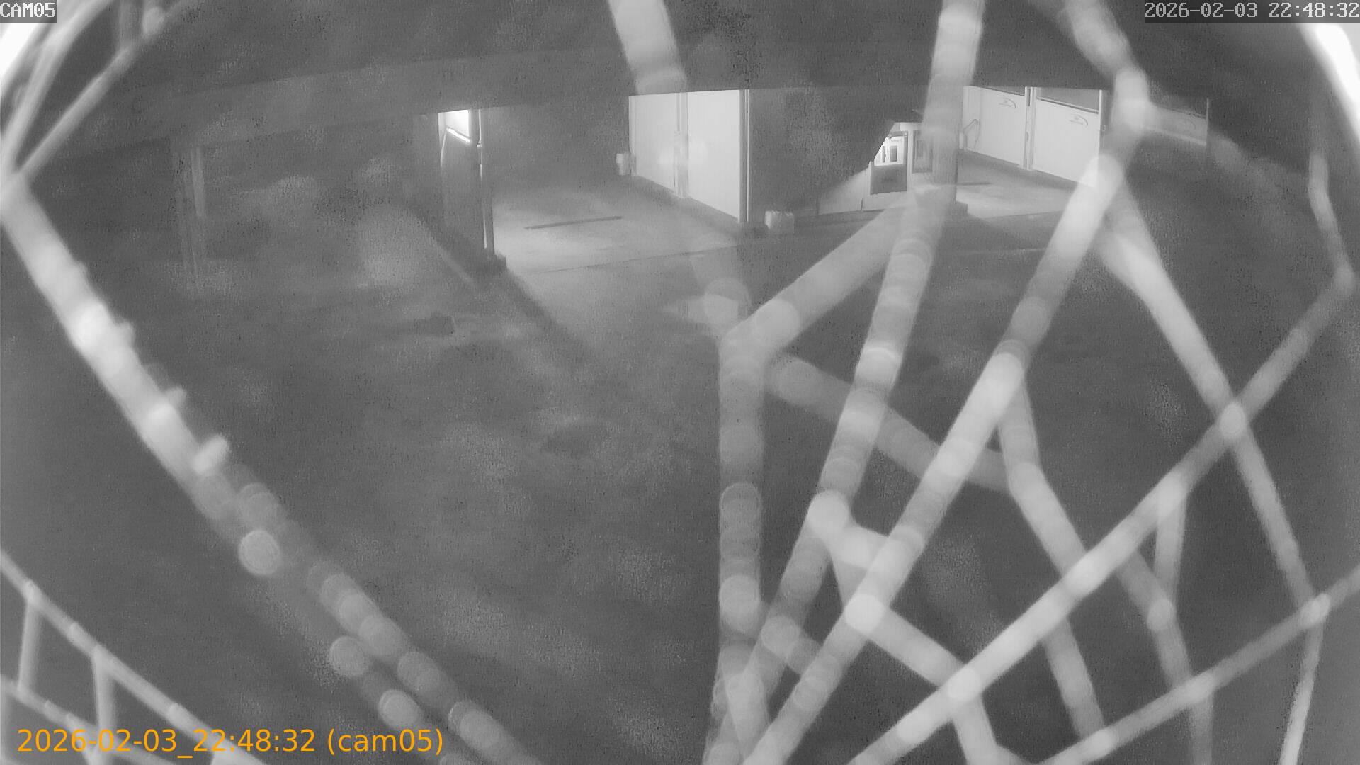 thumbnail_20260203224832