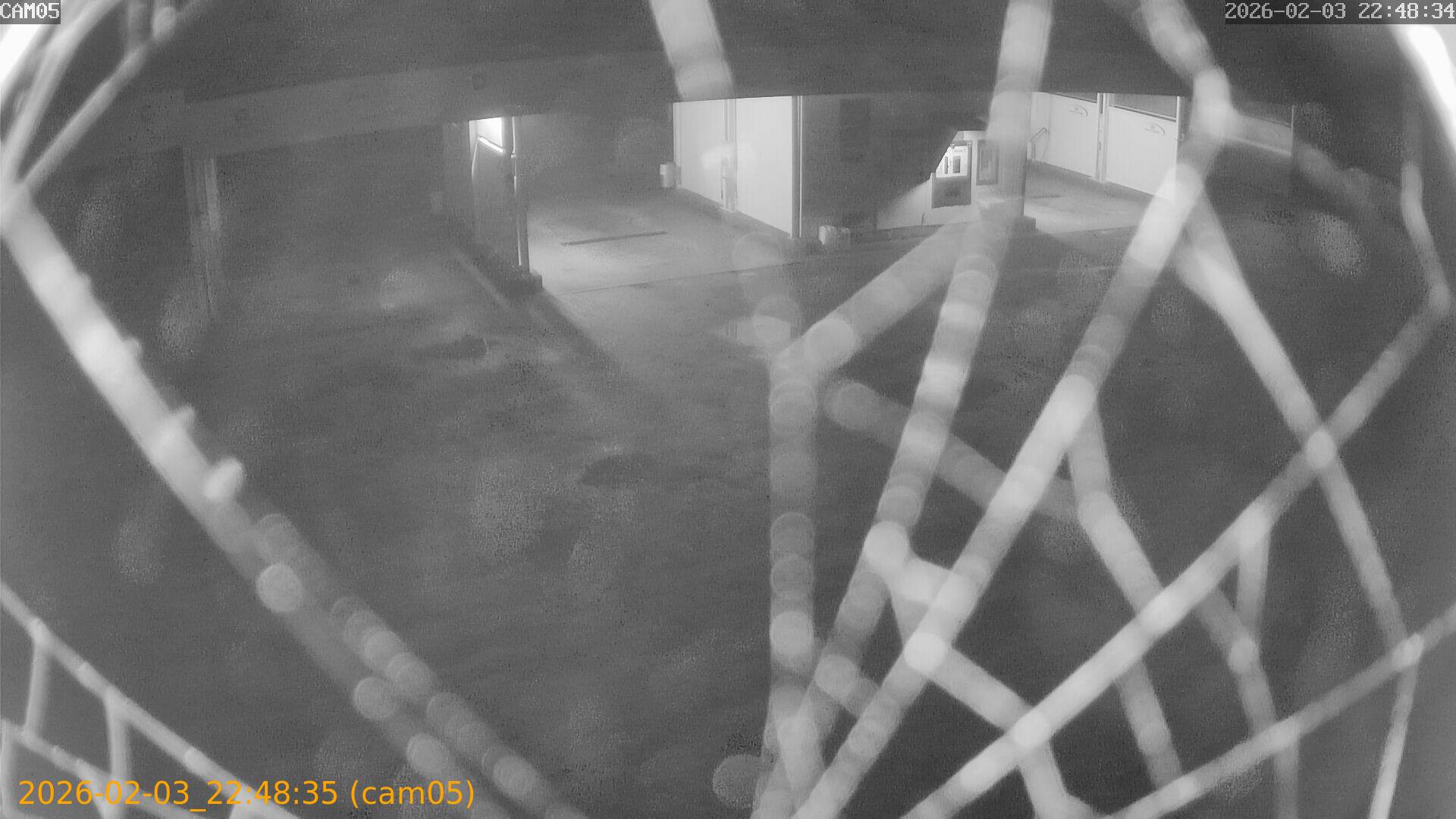 thumbnail_20260203224835