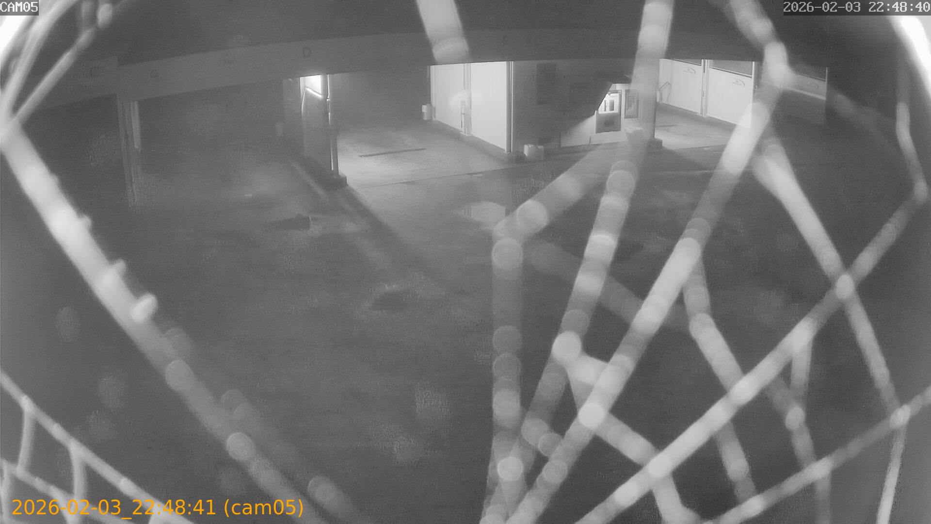 thumbnail_20260203224841