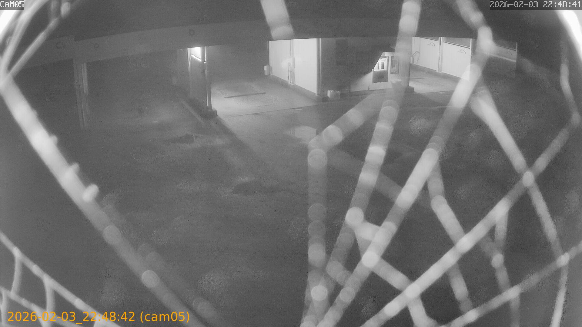 thumbnail_20260203224842