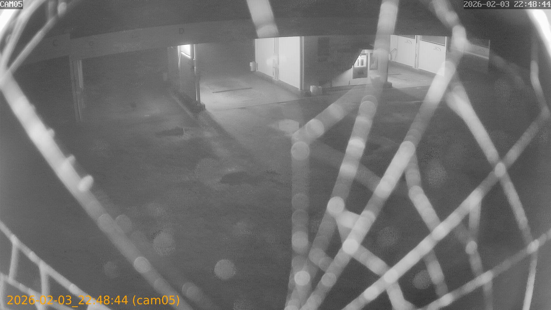 thumbnail_20260203224844