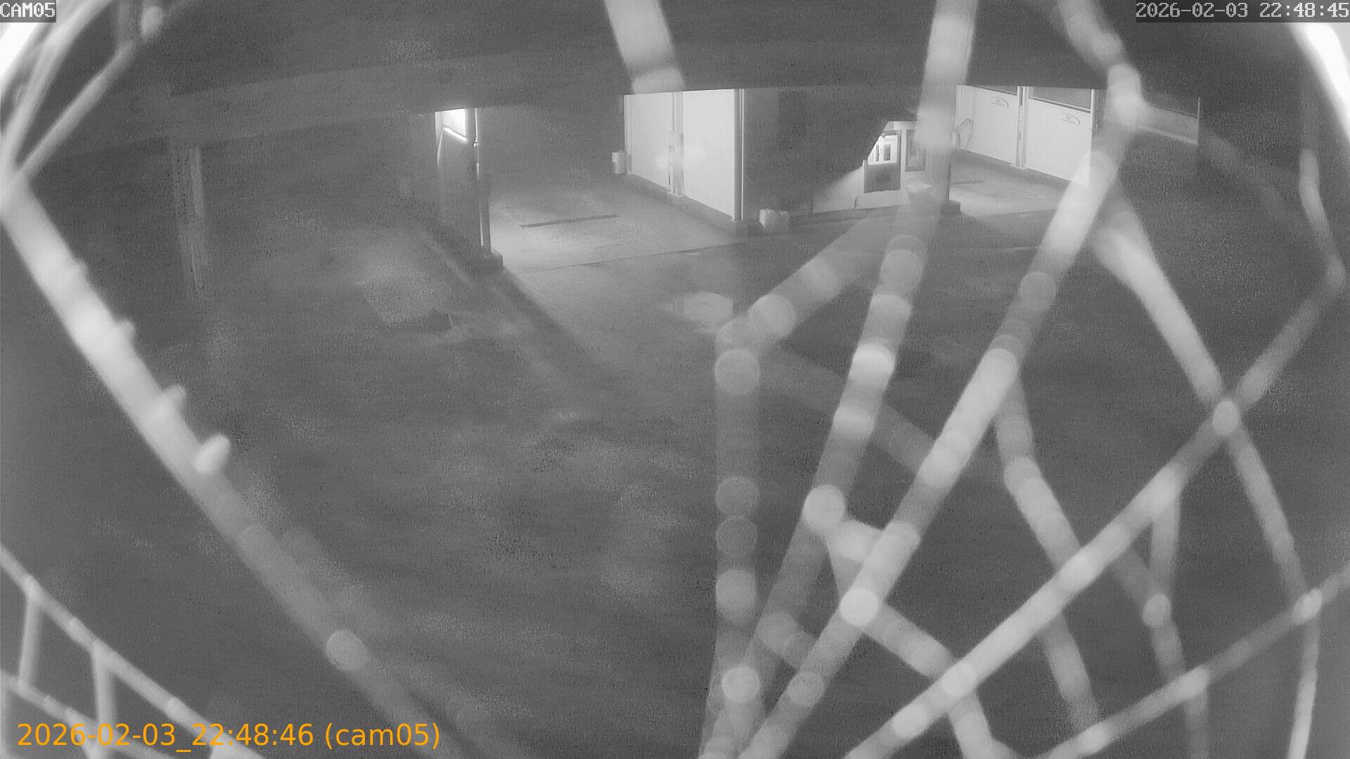 thumbnail_20260203224846