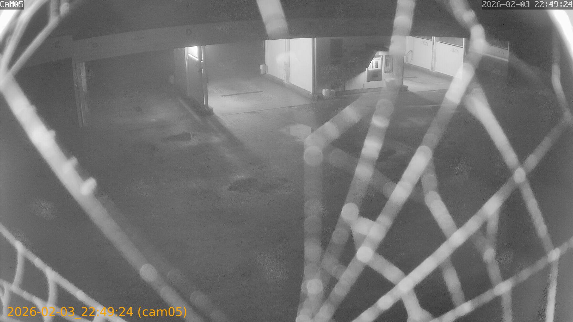 thumbnail_20260203224924