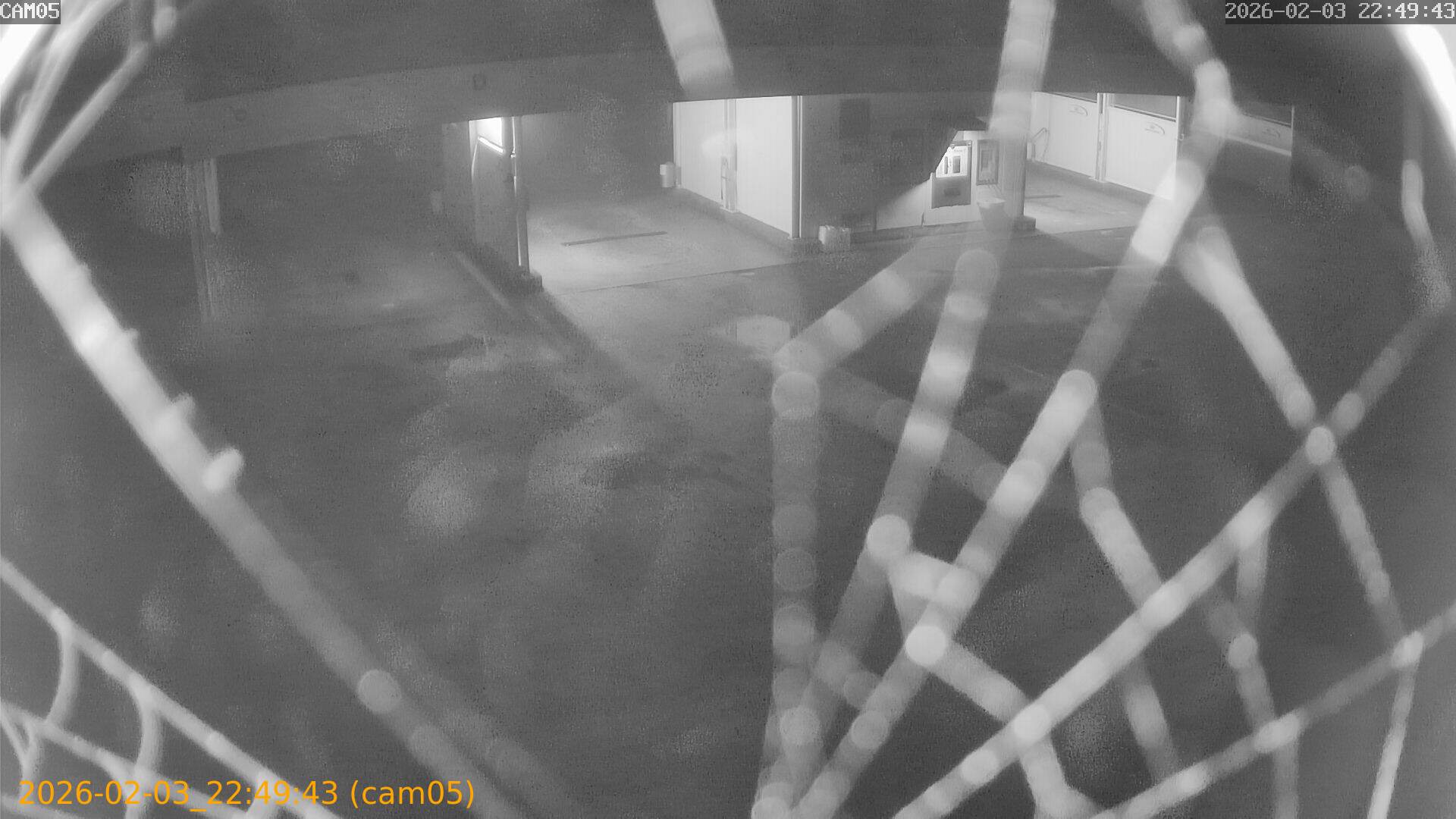 thumbnail_20260203224943