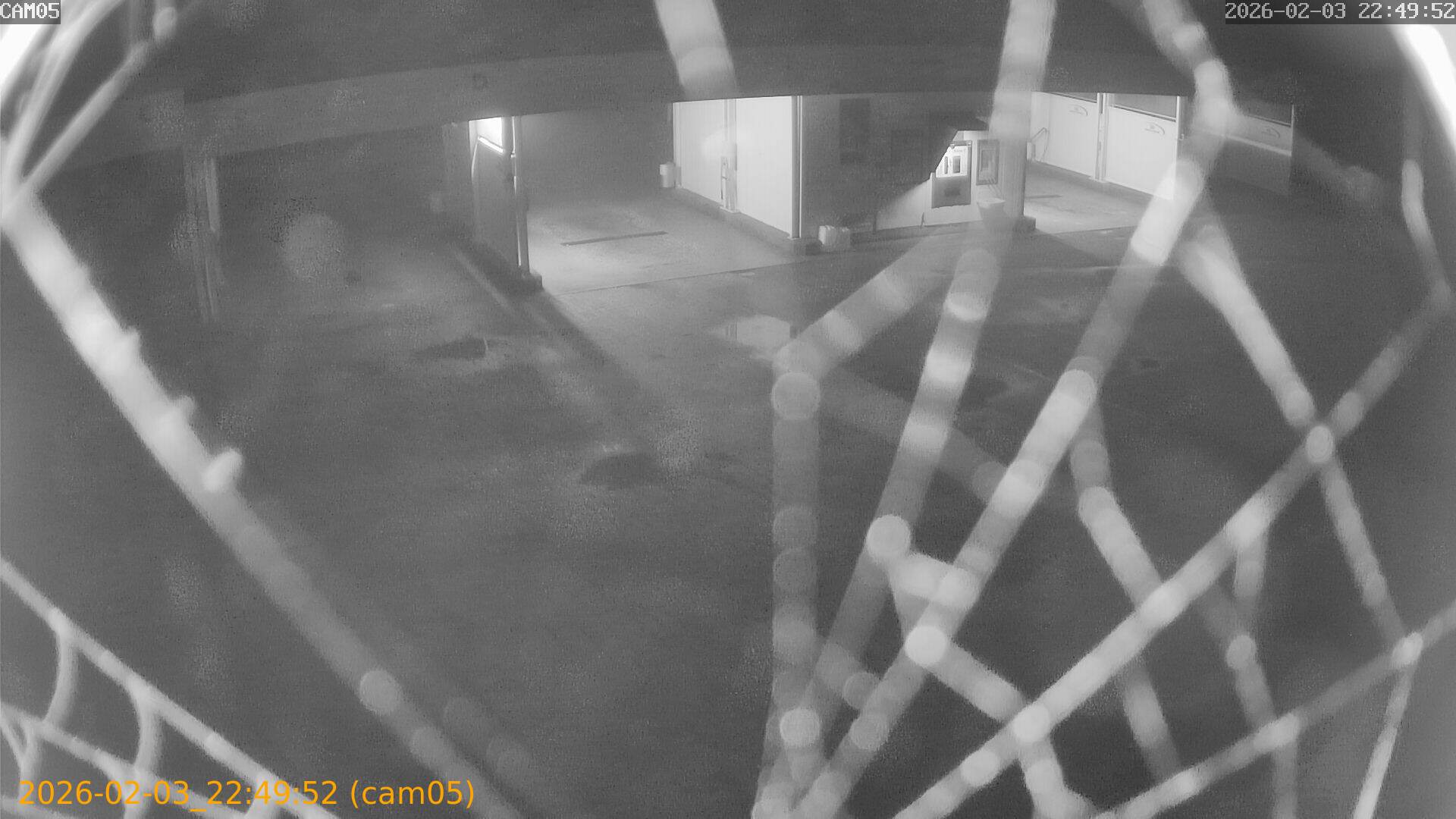 thumbnail_20260203224952