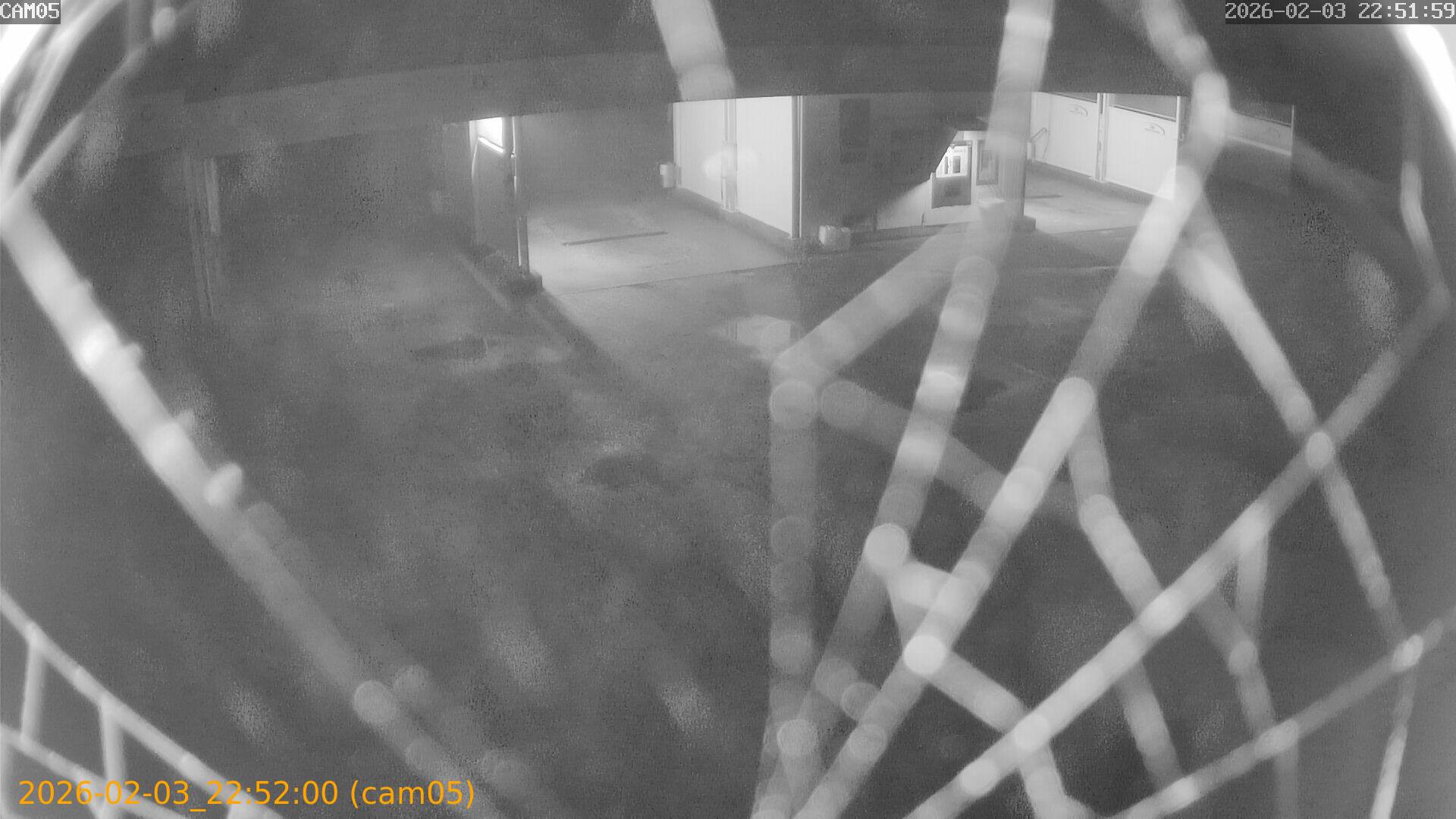 thumbnail_20260203225200