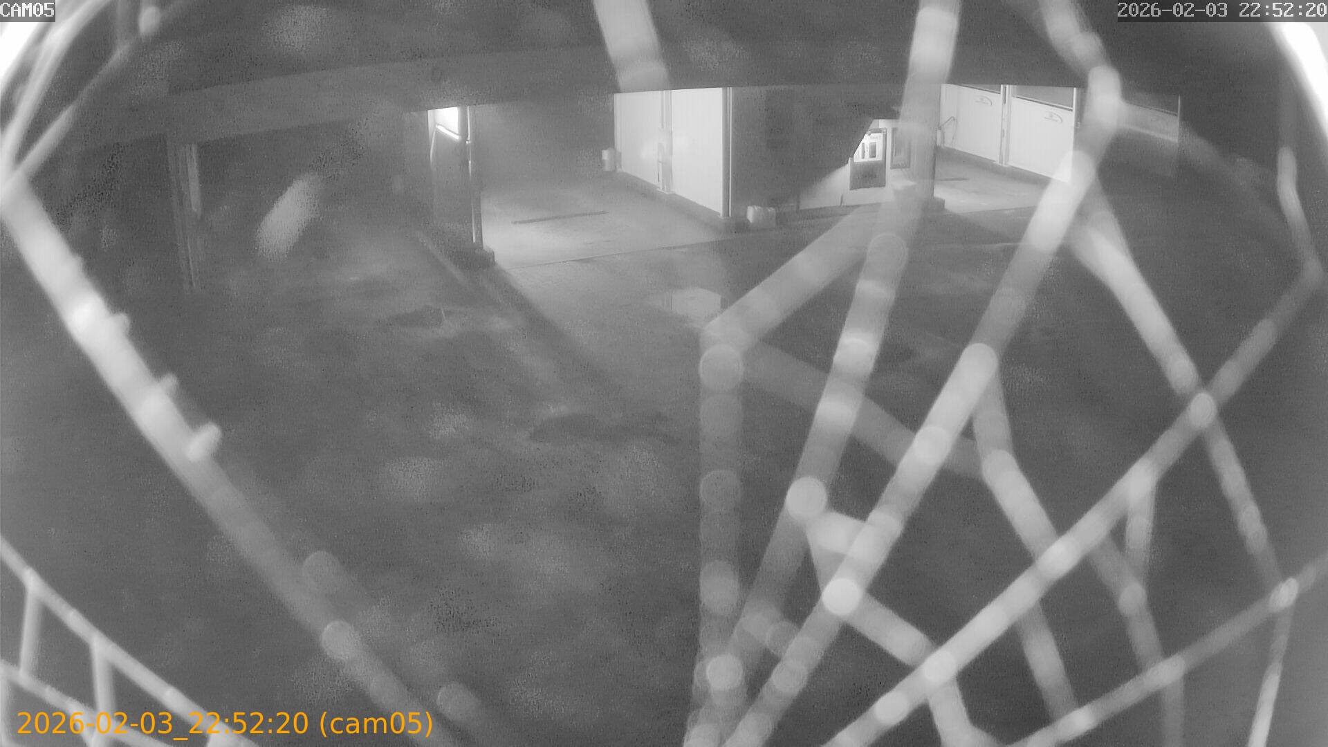 thumbnail_20260203225220