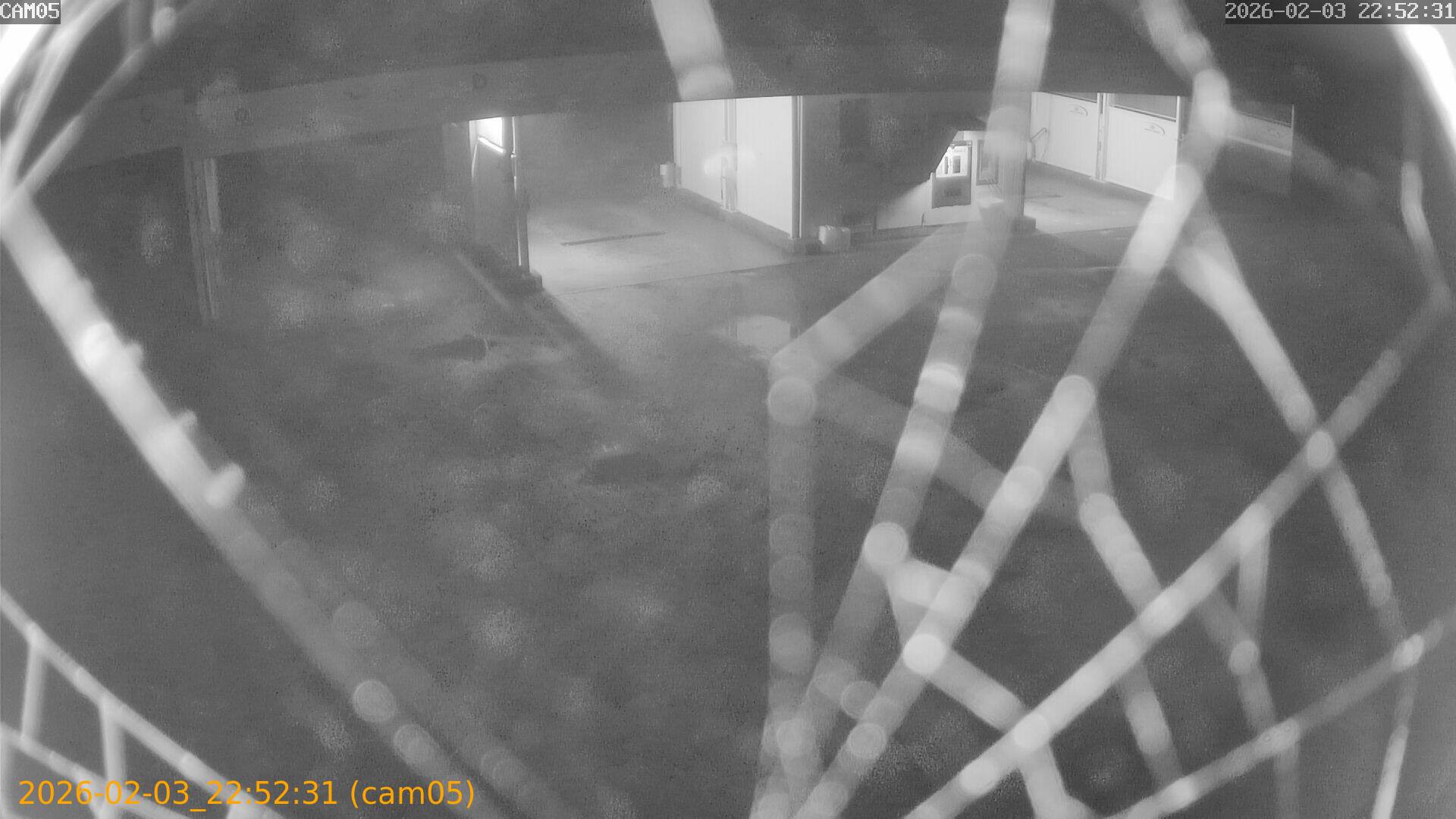 thumbnail_20260203225231