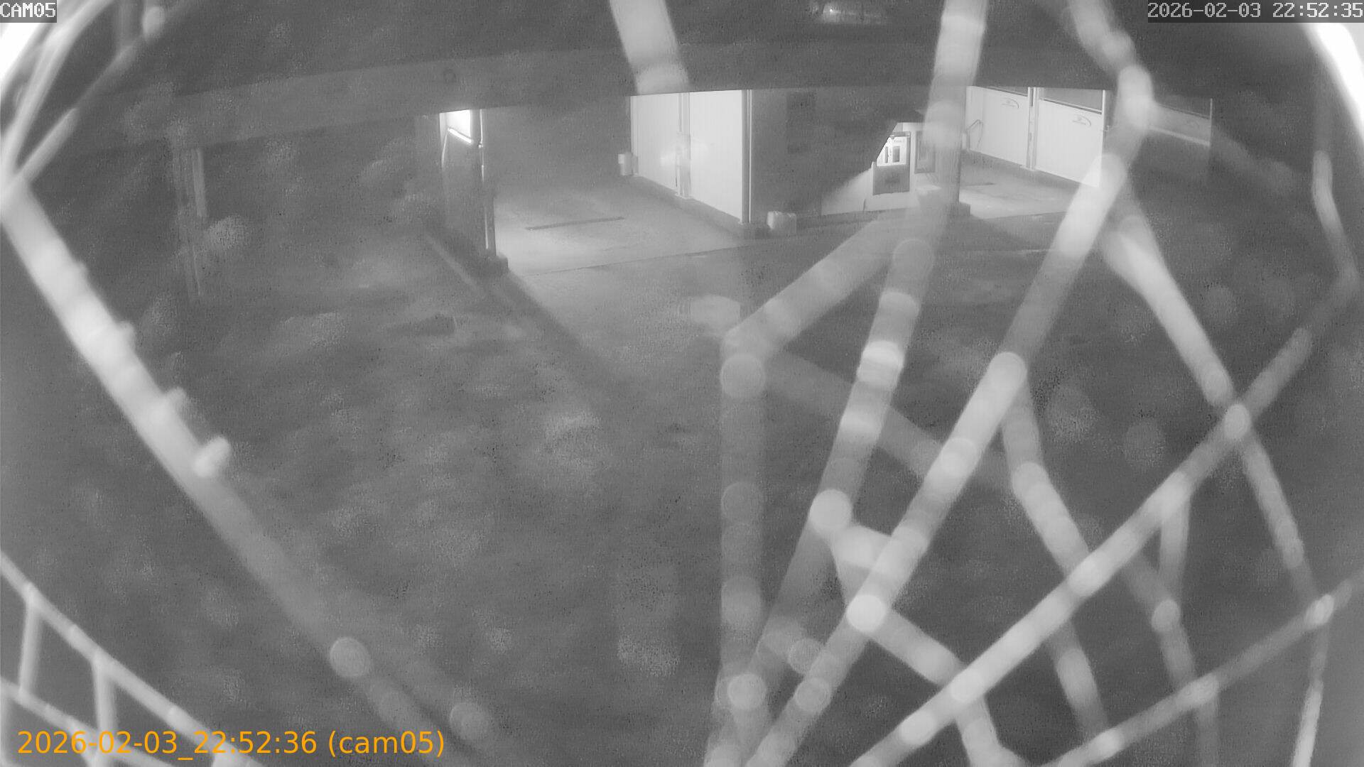 thumbnail_20260203225236