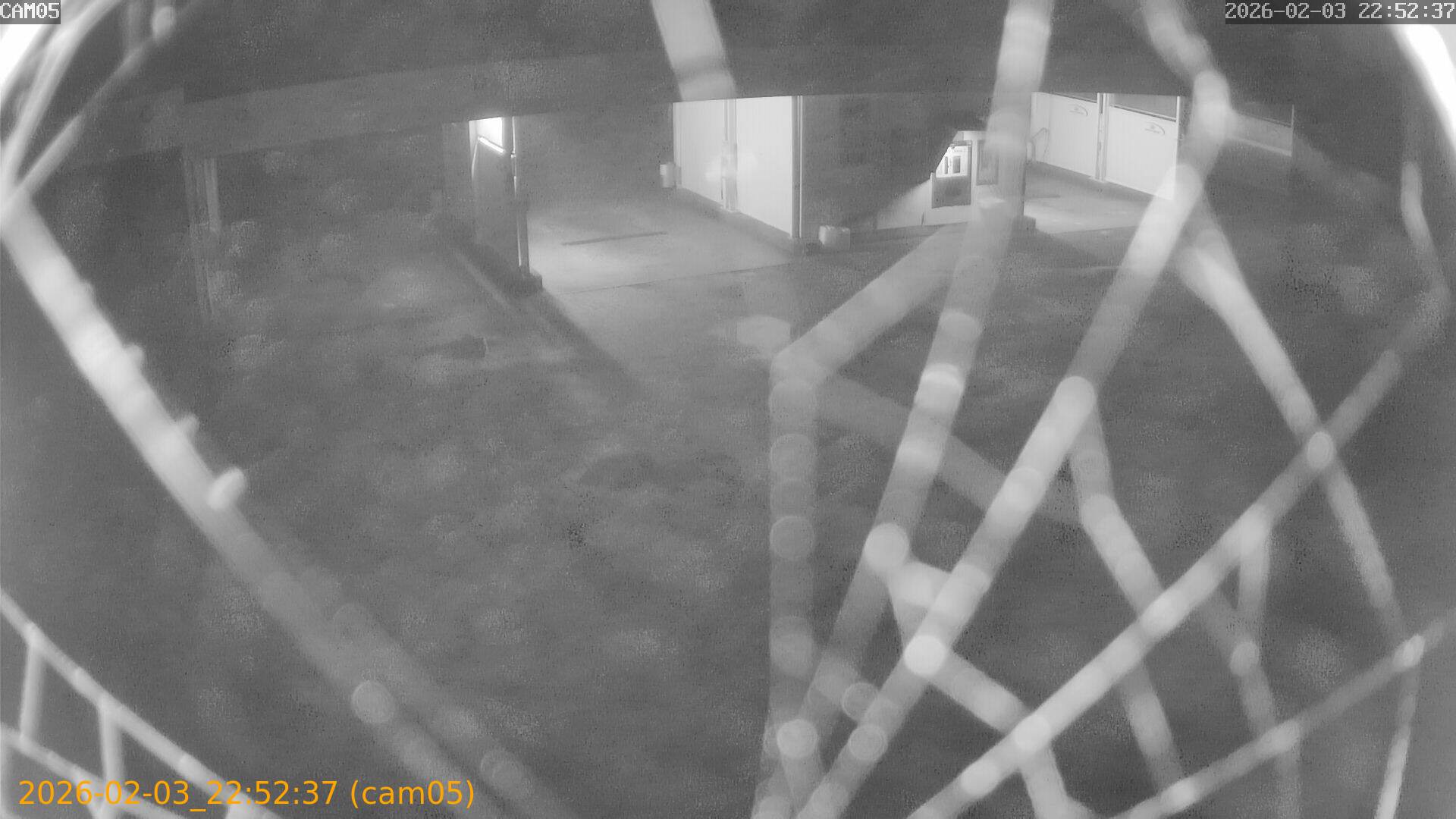 thumbnail_20260203225237