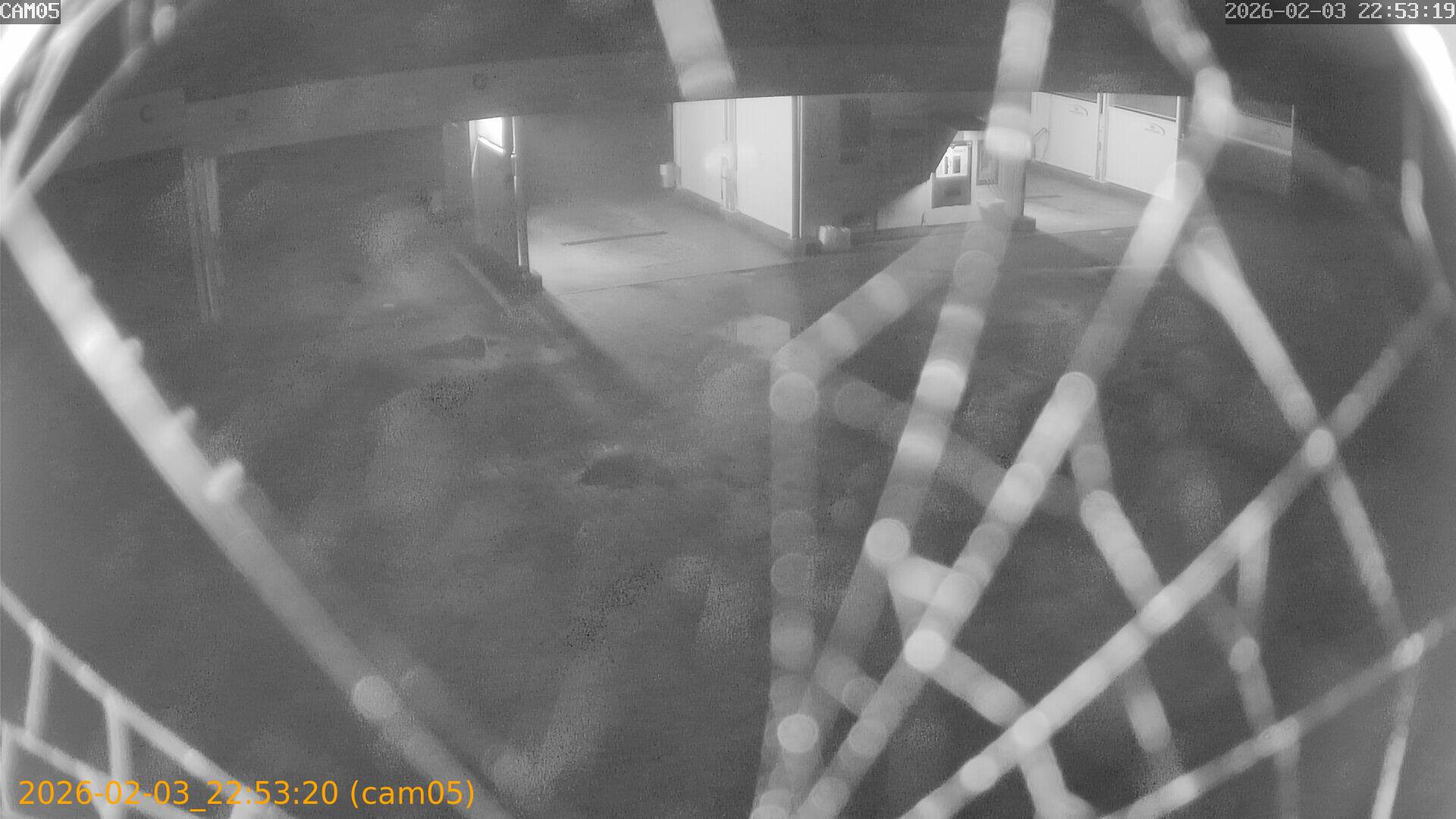 thumbnail_20260203225320