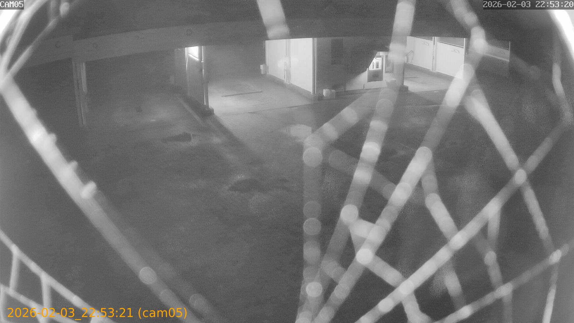 thumbnail_20260203225321