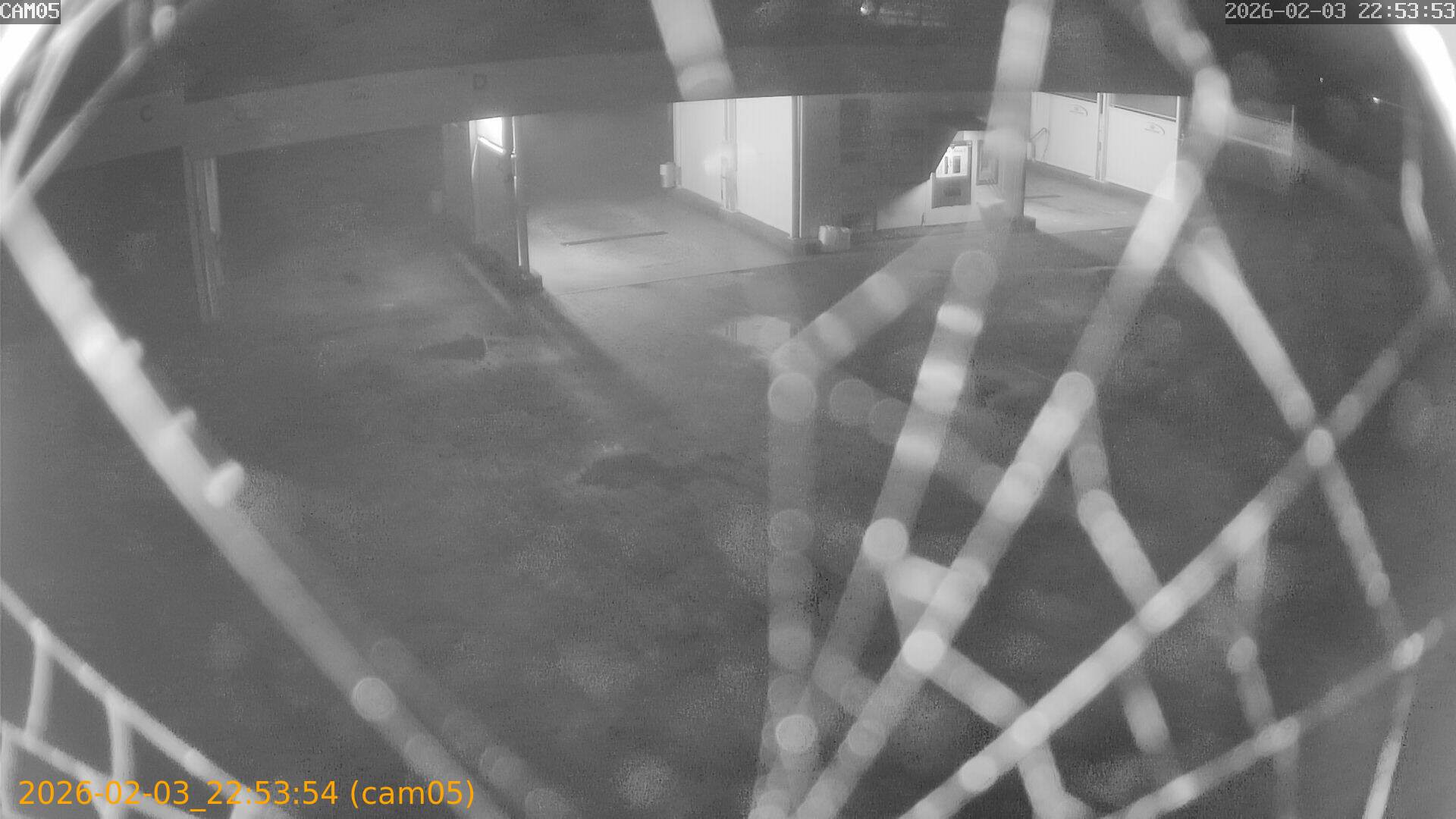 thumbnail_20260203225354