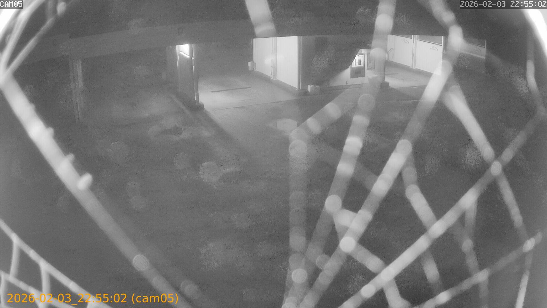 thumbnail_20260203225502