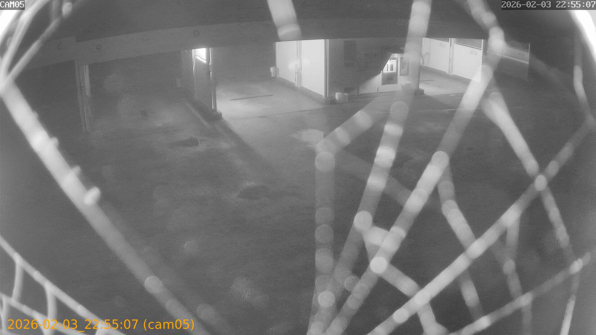 thumbnail_20260203225507