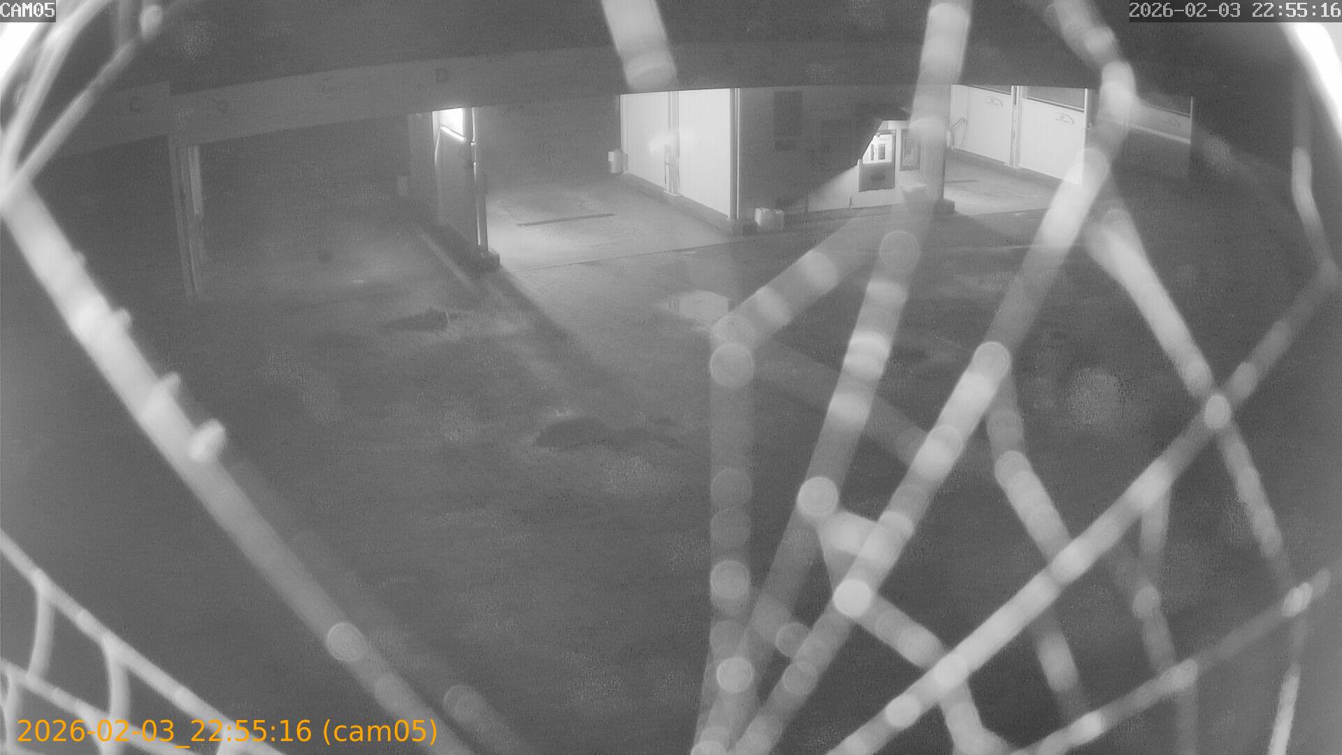 thumbnail_20260203225516