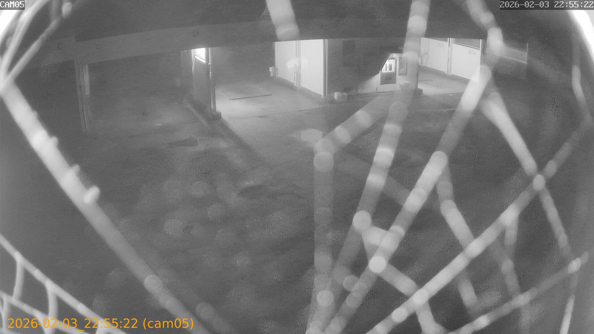 thumbnail_20260203225522