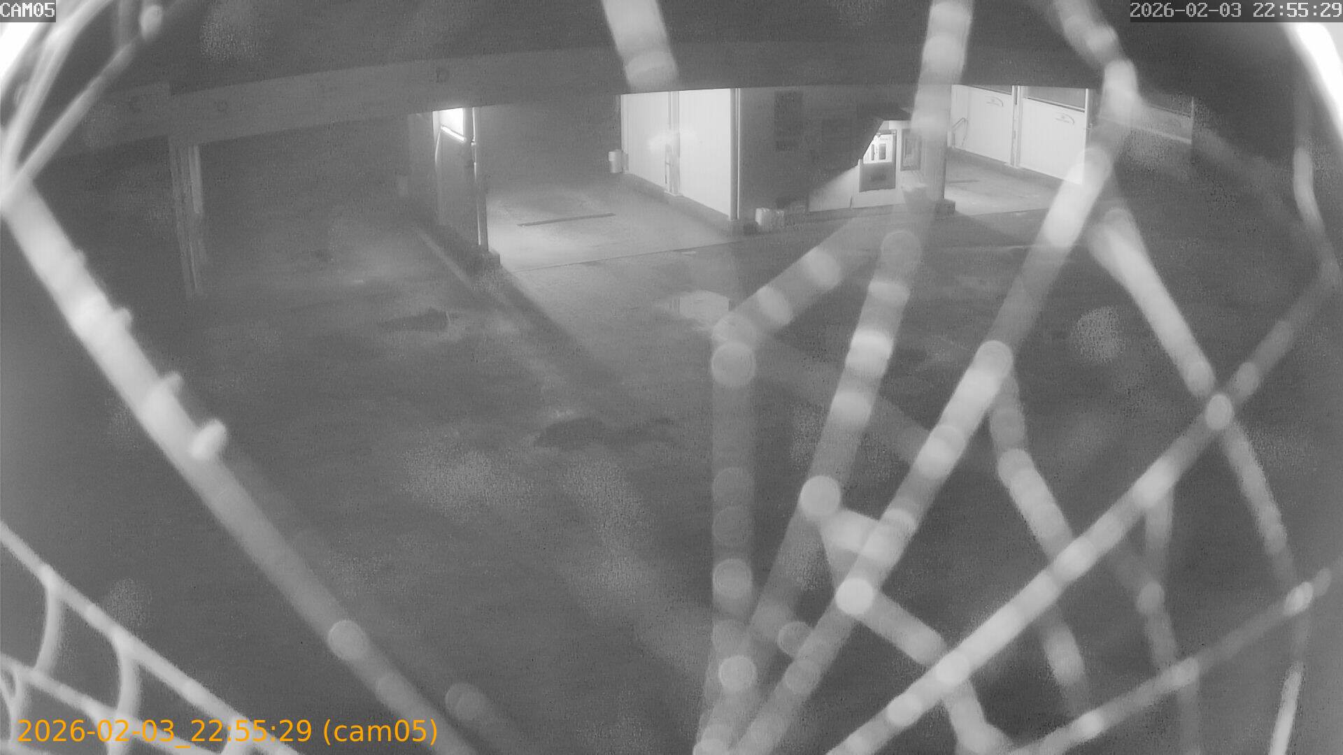 thumbnail_20260203225529