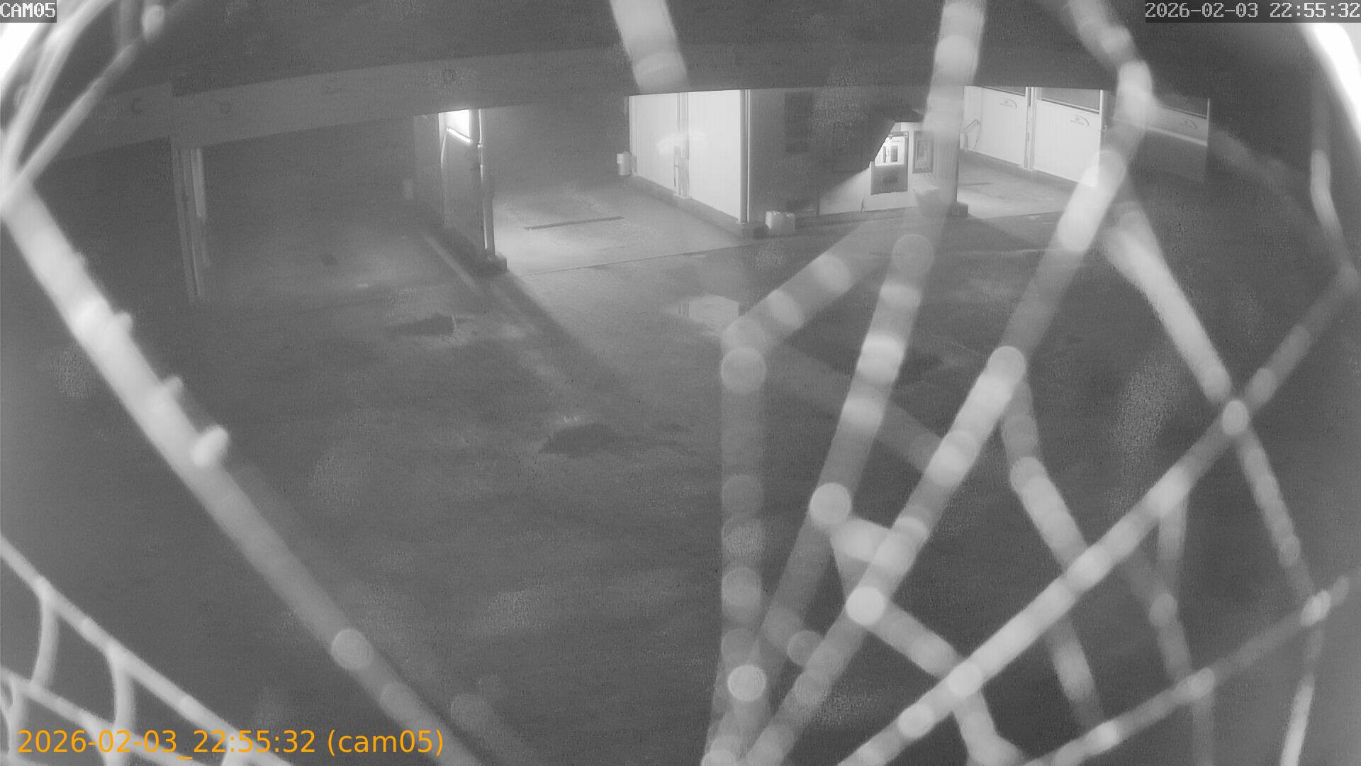 thumbnail_20260203225532