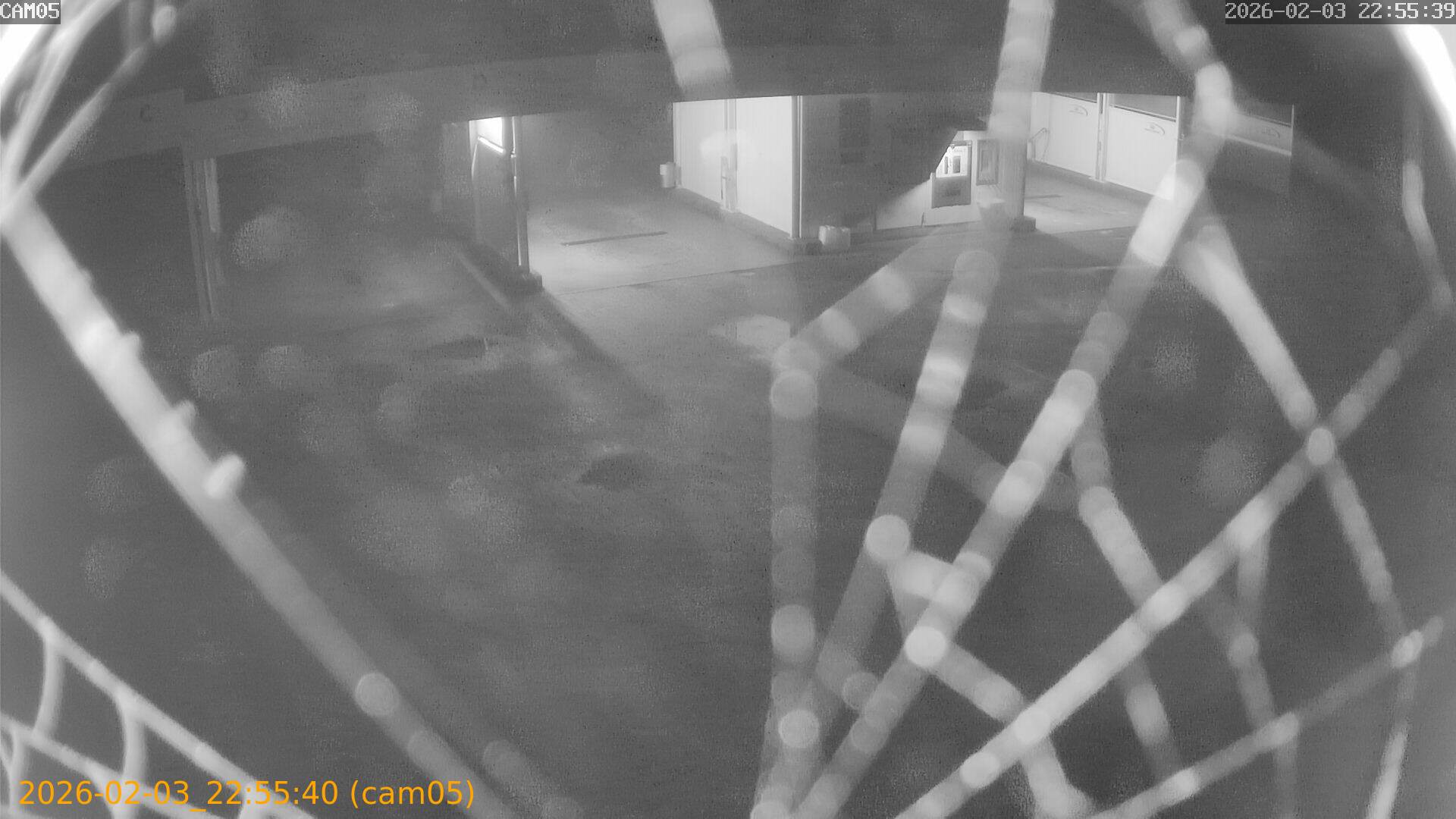 thumbnail_20260203225540