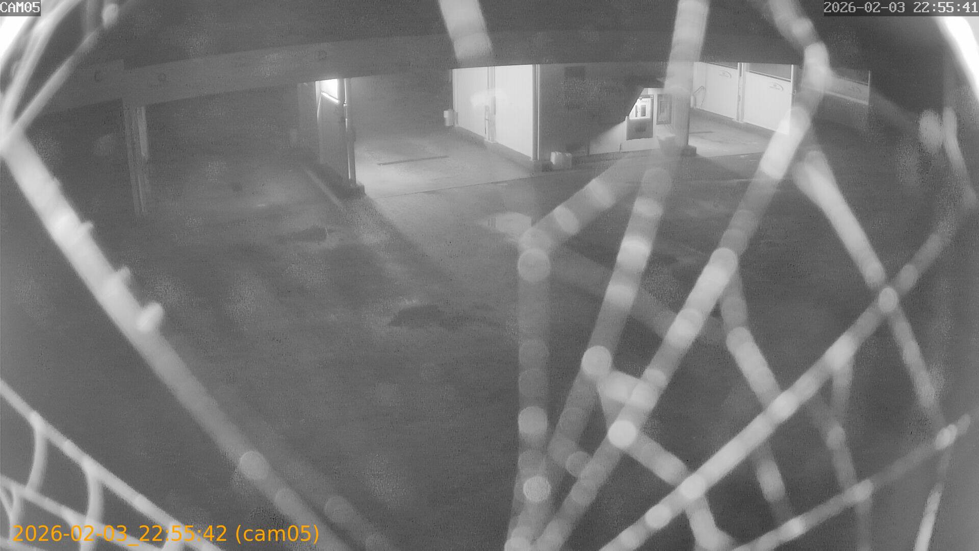 thumbnail_20260203225542