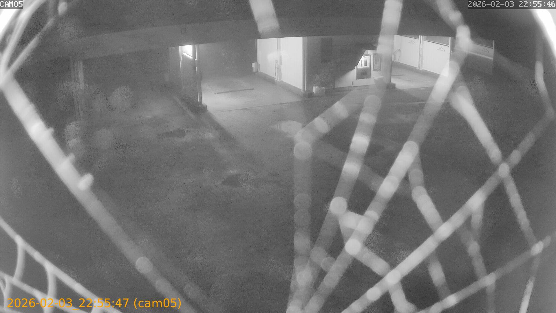 thumbnail_20260203225547