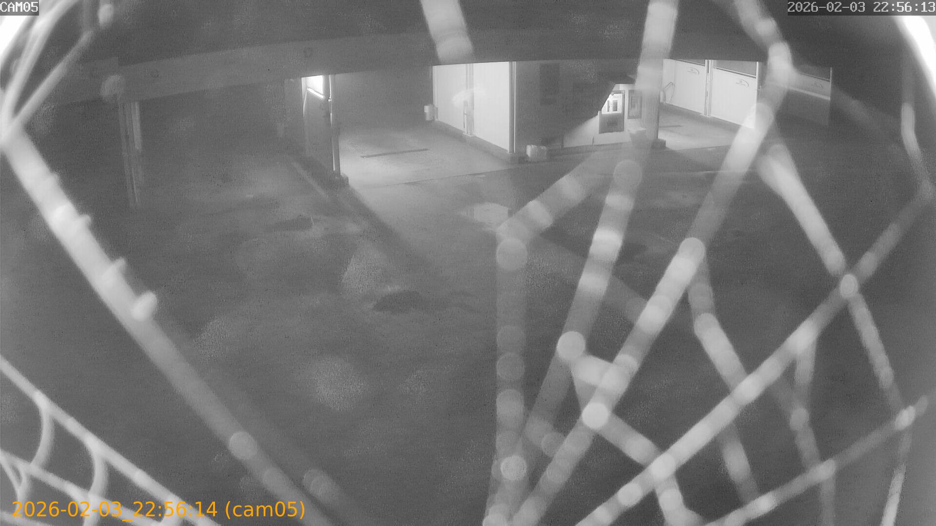 thumbnail_20260203225614