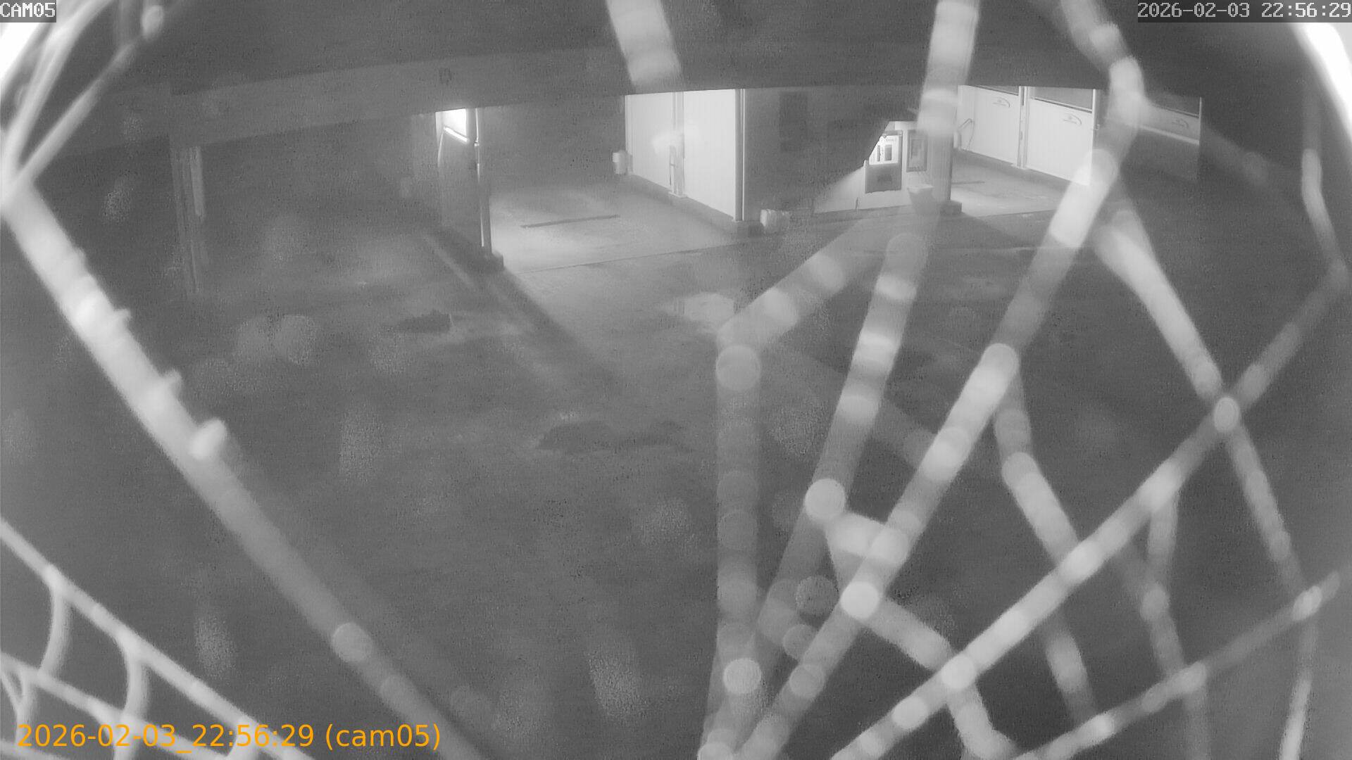 thumbnail_20260203225629