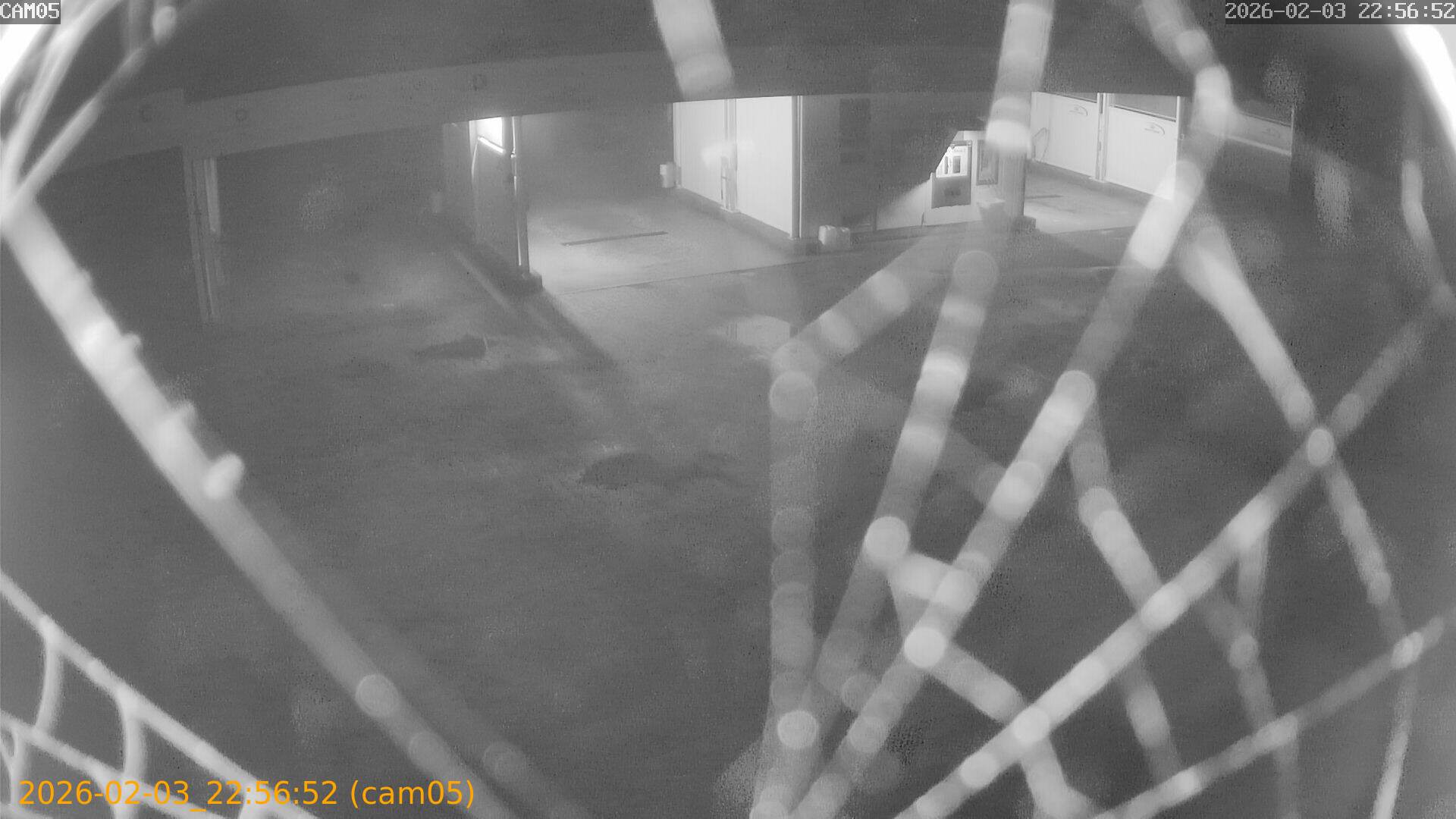 thumbnail_20260203225652