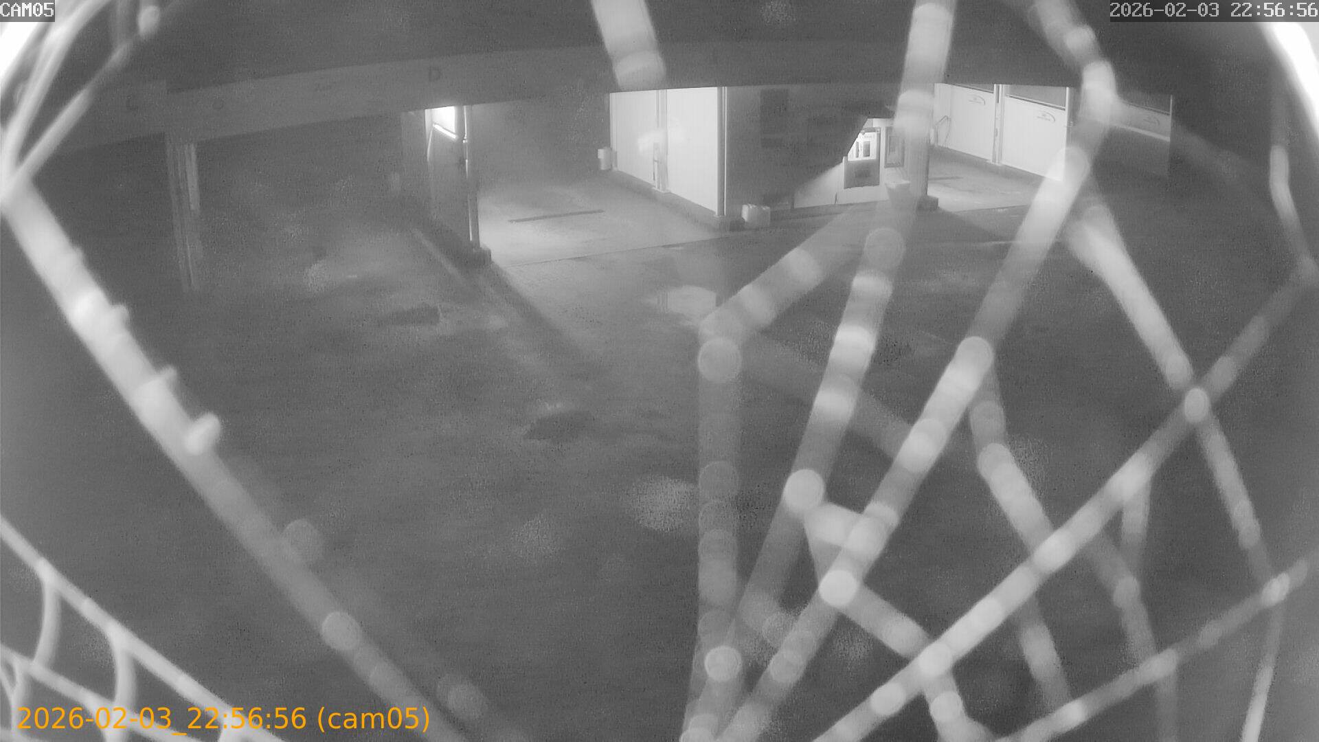 thumbnail_20260203225656