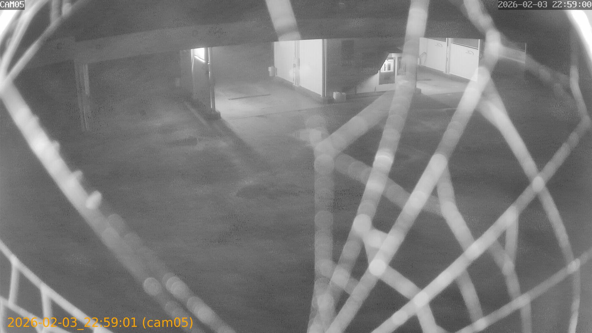 thumbnail_20260203225901