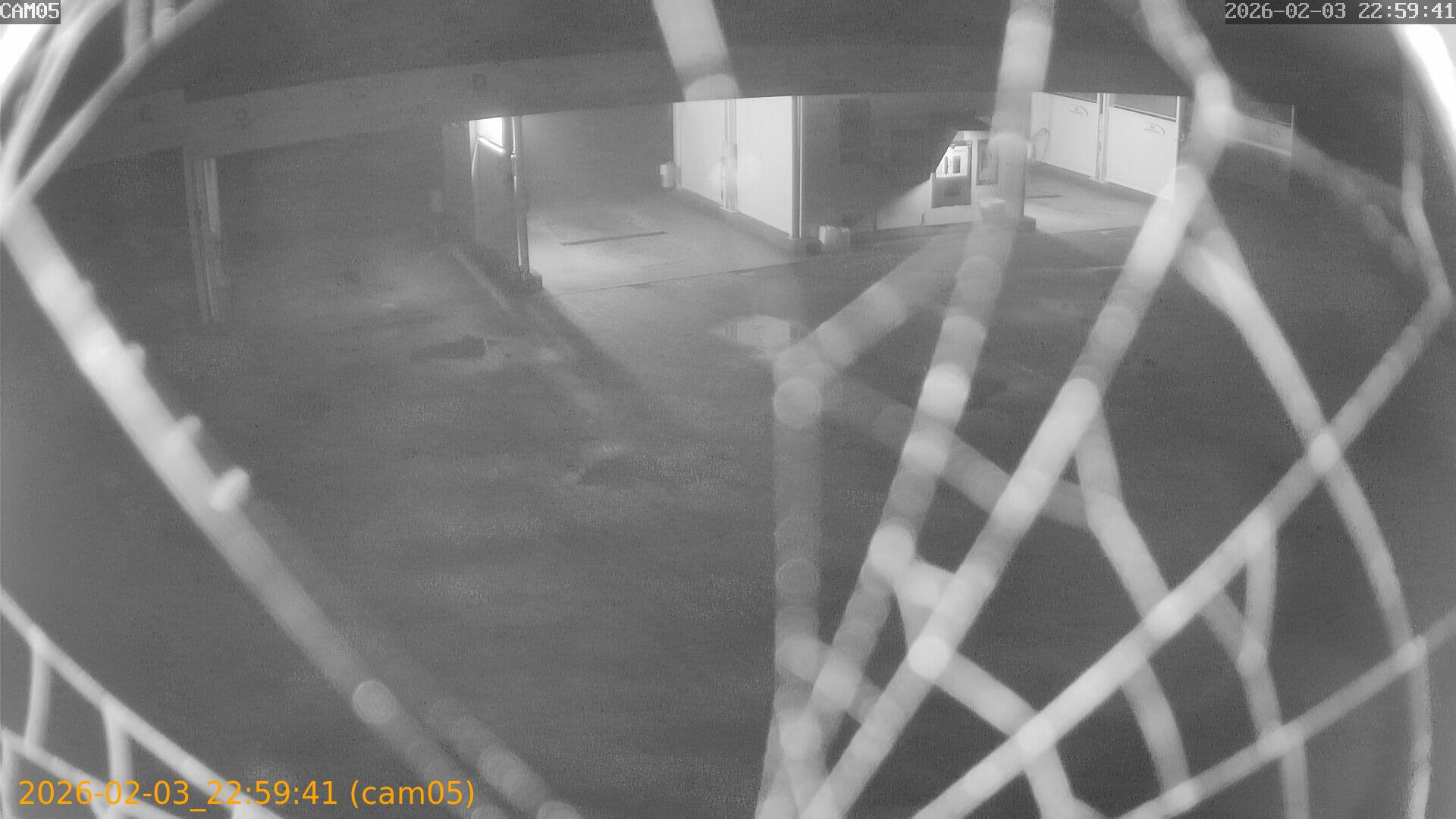 thumbnail_20260203225941