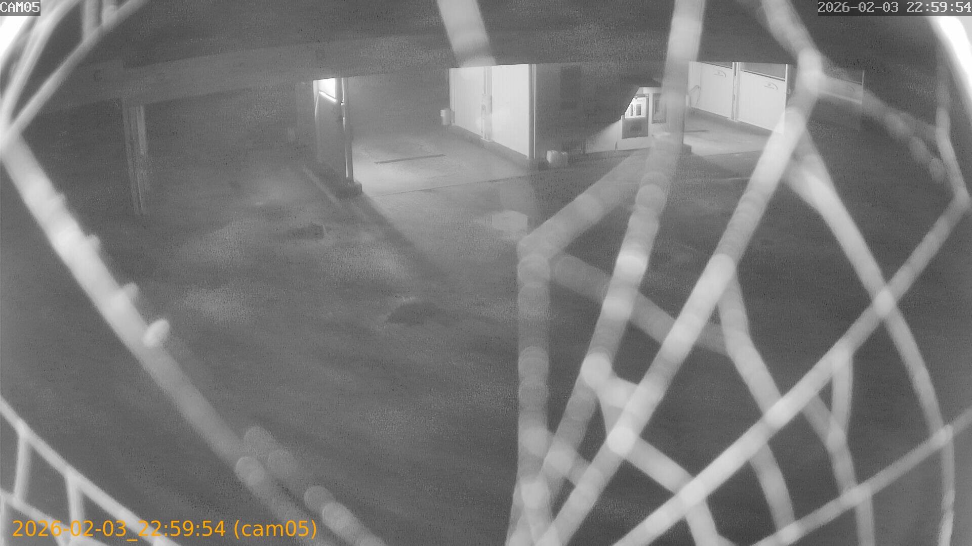 thumbnail_20260203225954