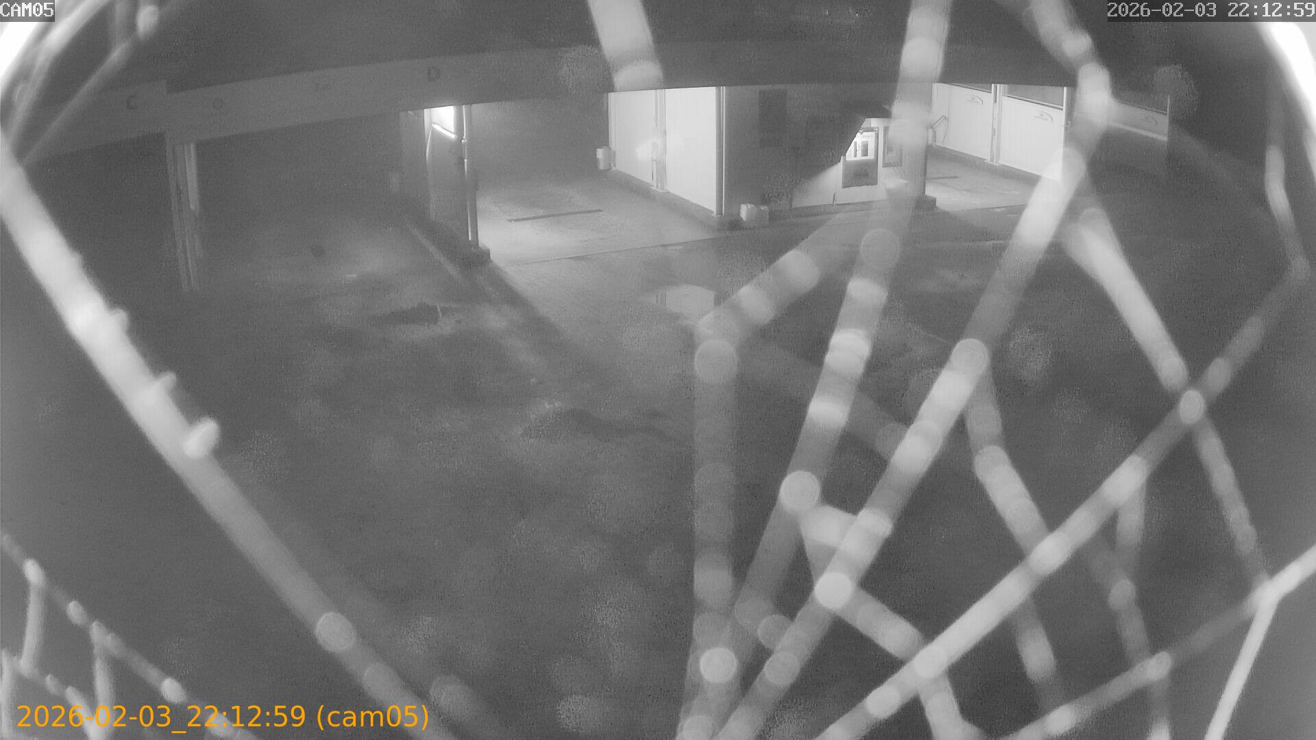 thumbnail_202602032212