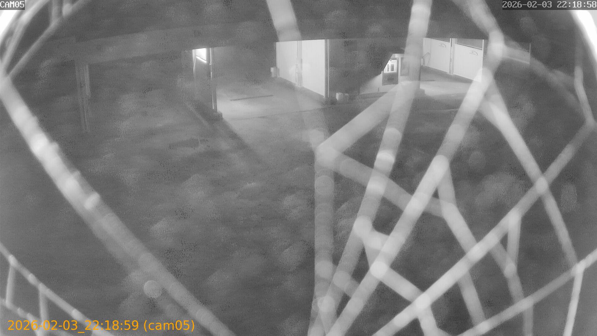 thumbnail_202602032218