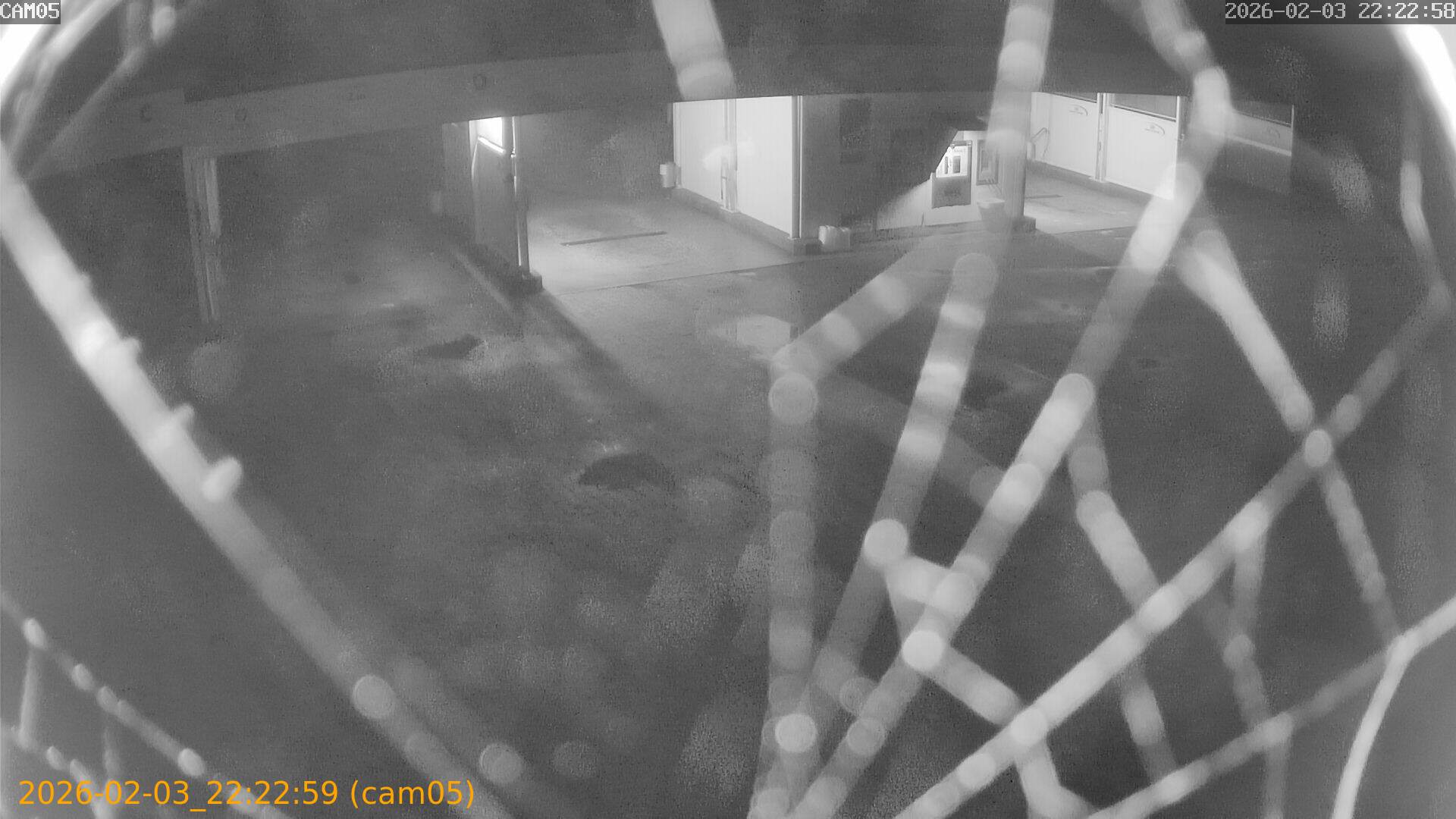 thumbnail_202602032222