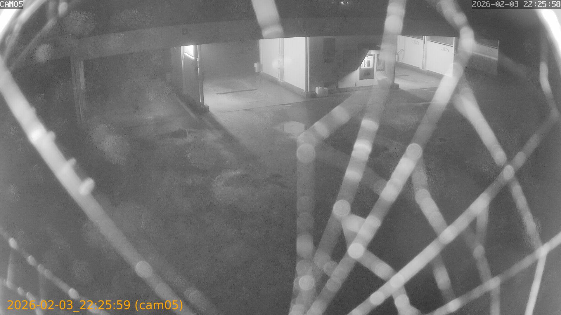 thumbnail_202602032225