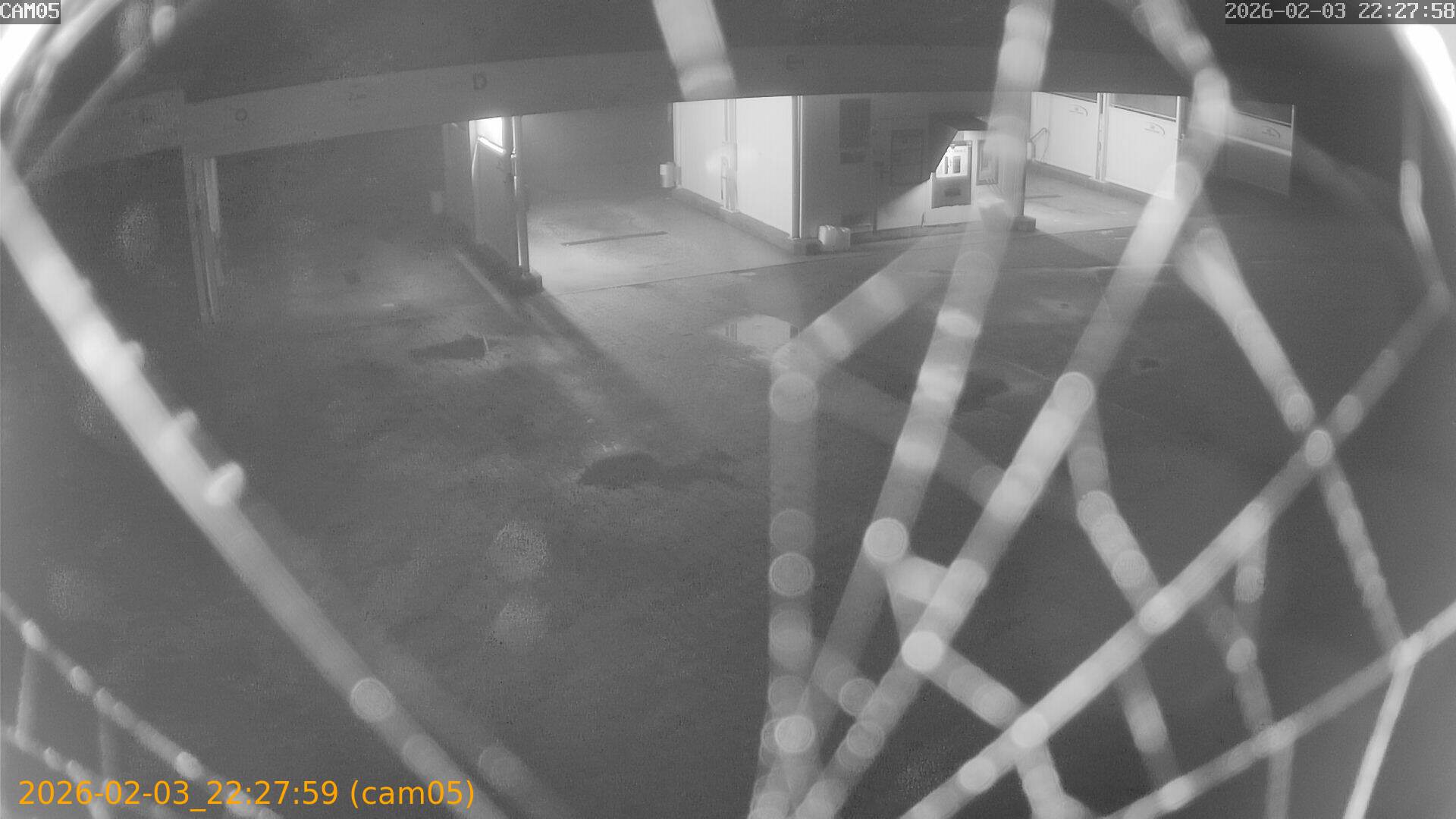 thumbnail_202602032227