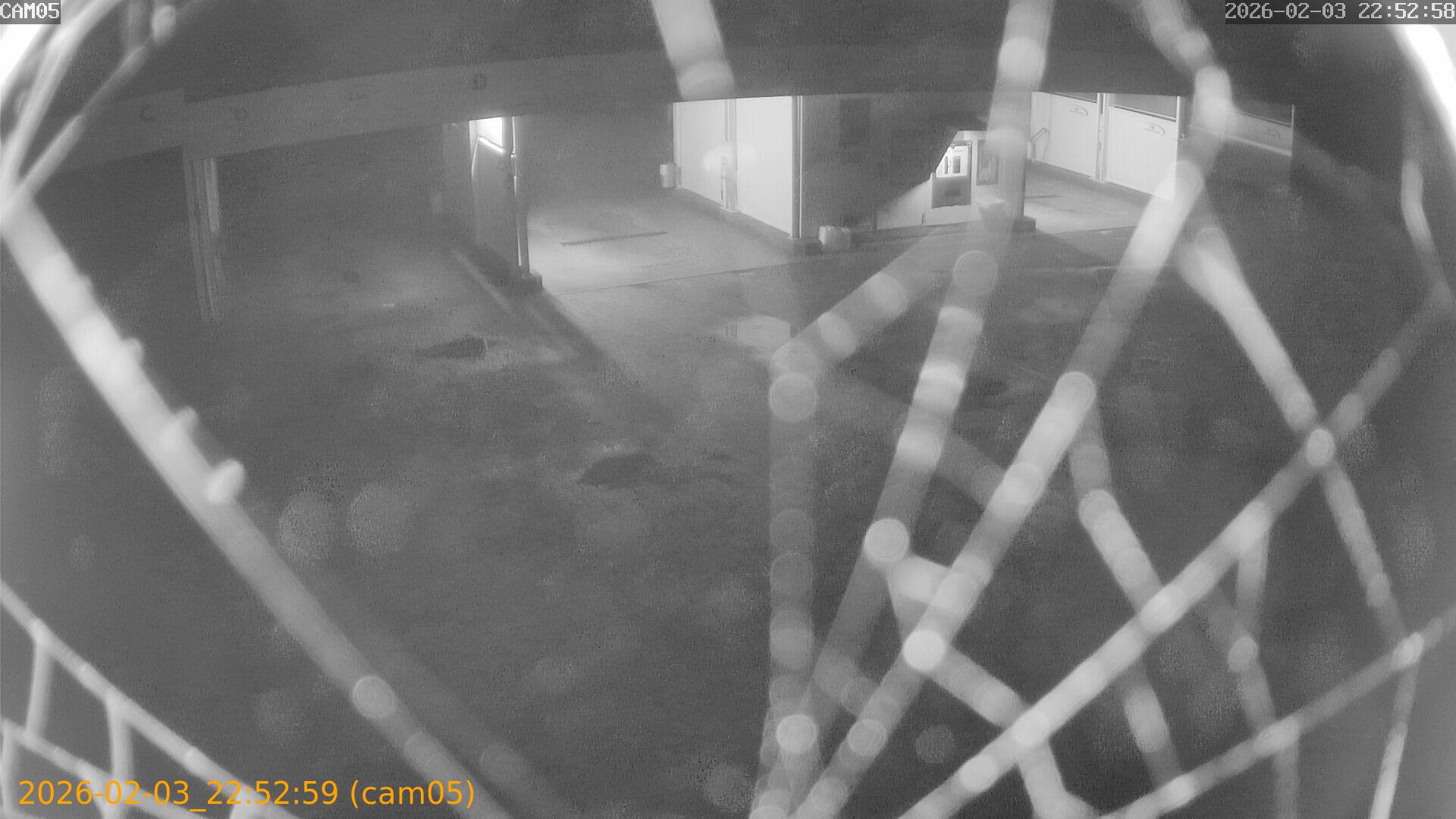 thumbnail_202602032252