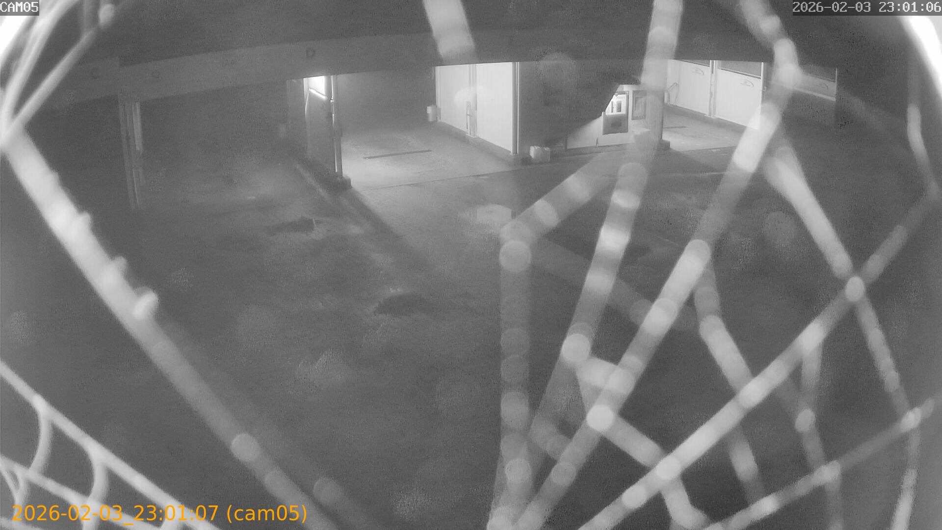 thumbnail_20260203230107