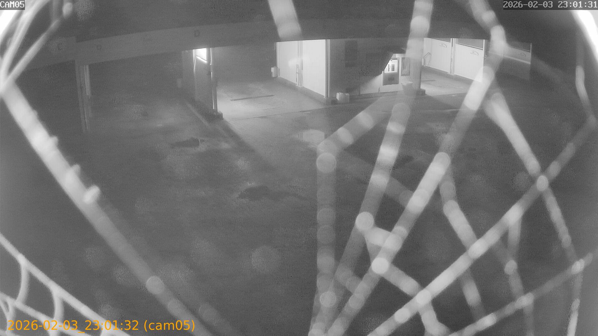 thumbnail_20260203230132