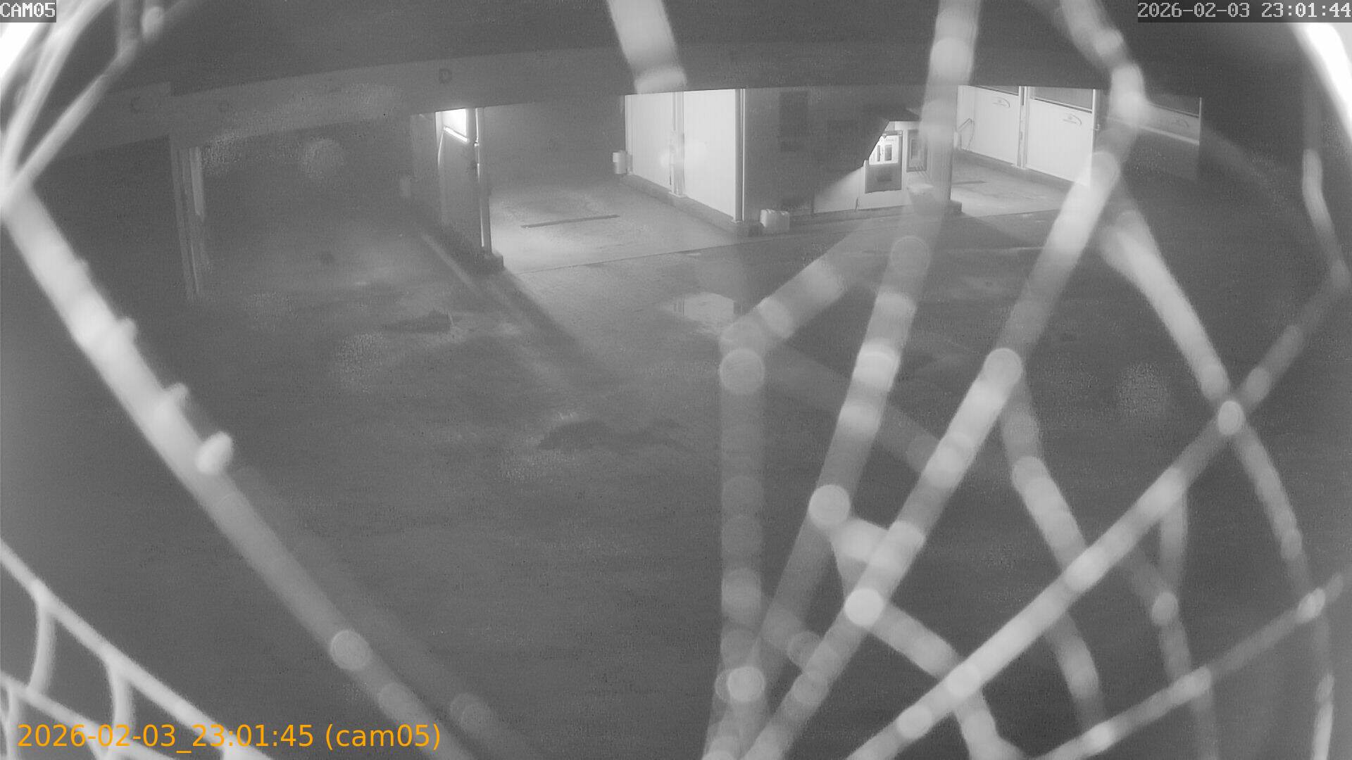 thumbnail_20260203230145