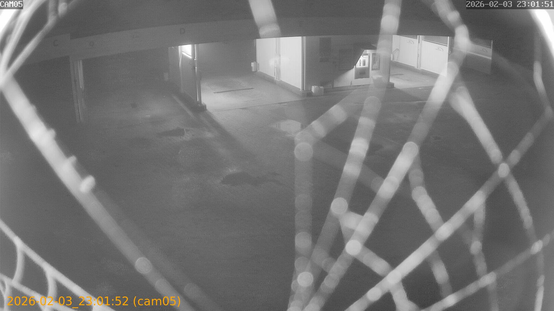 thumbnail_20260203230152