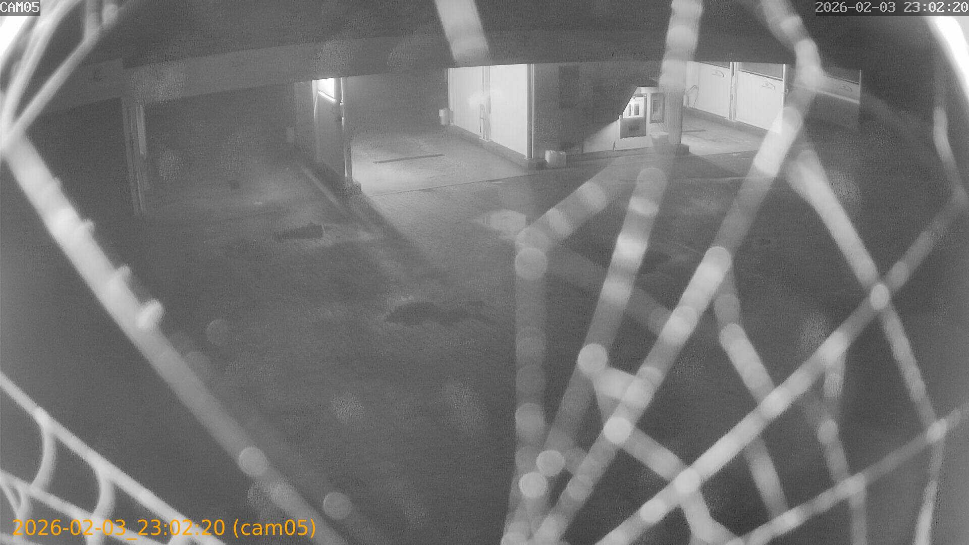 thumbnail_20260203230220