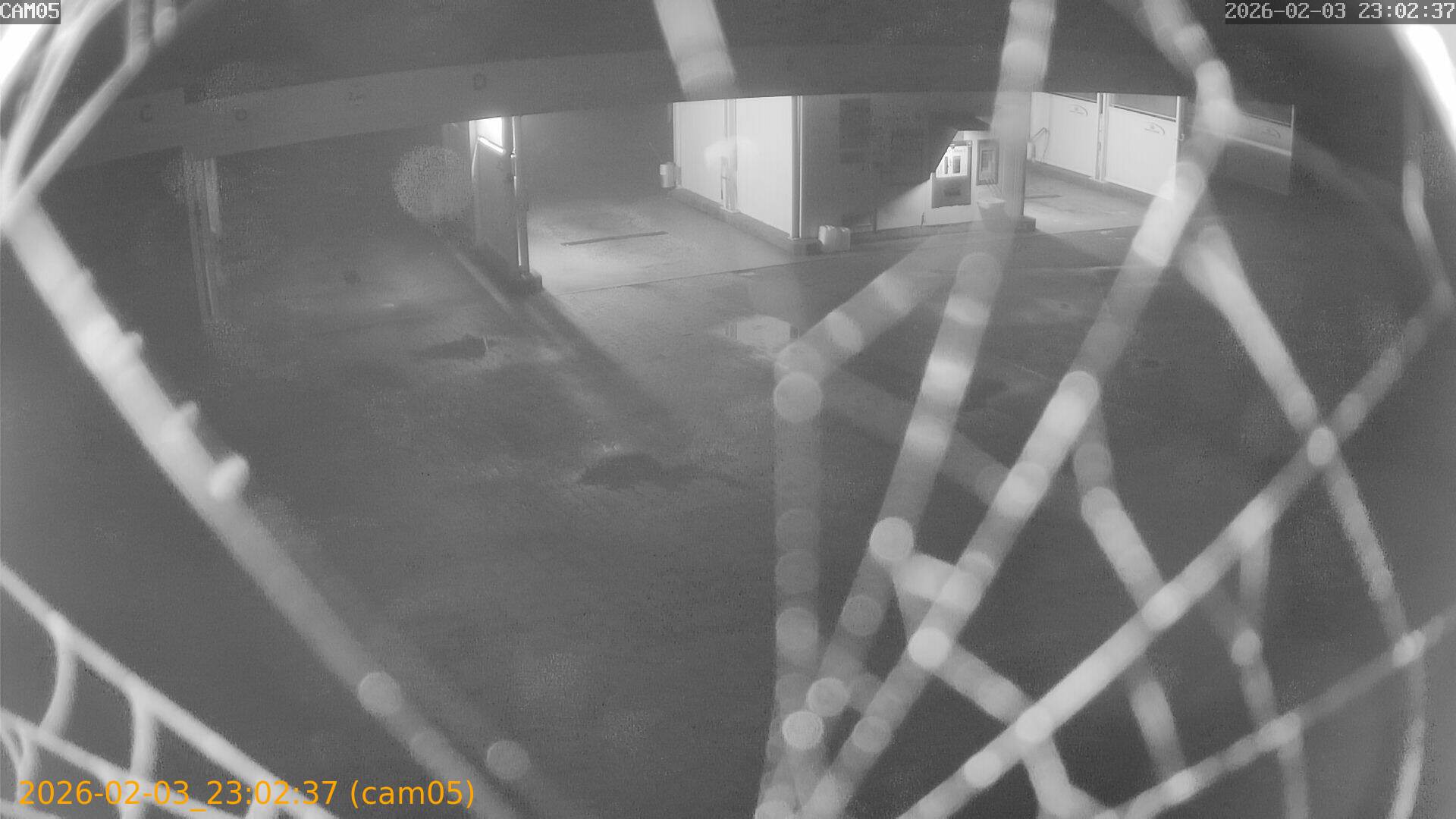 thumbnail_20260203230237