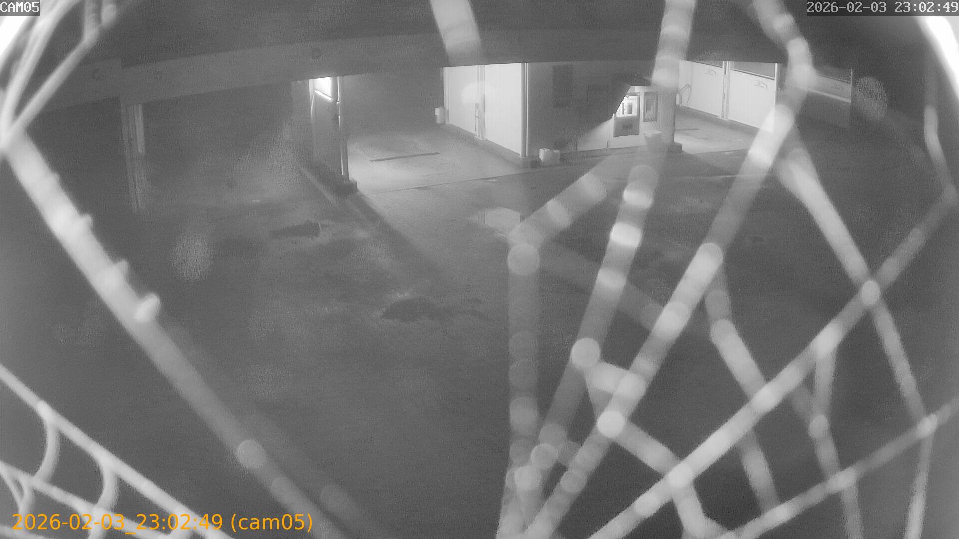 thumbnail_20260203230249