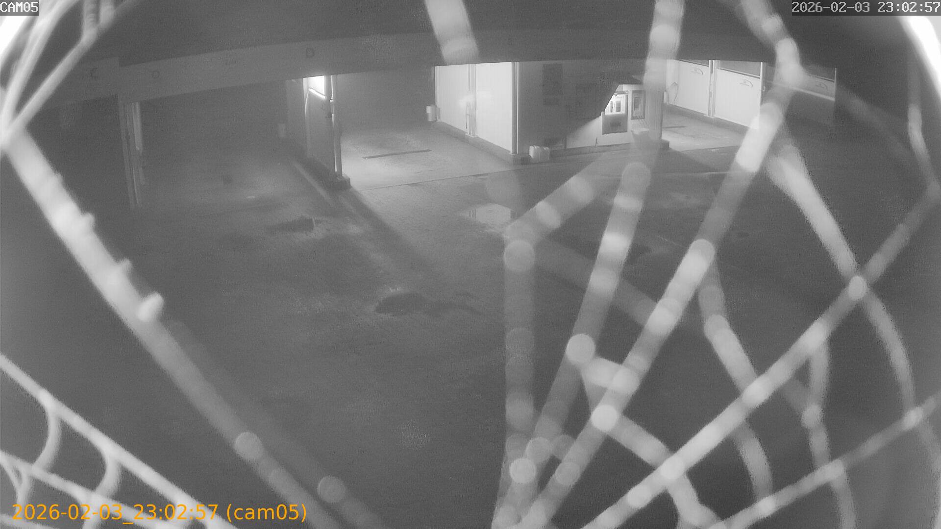 thumbnail_20260203230257