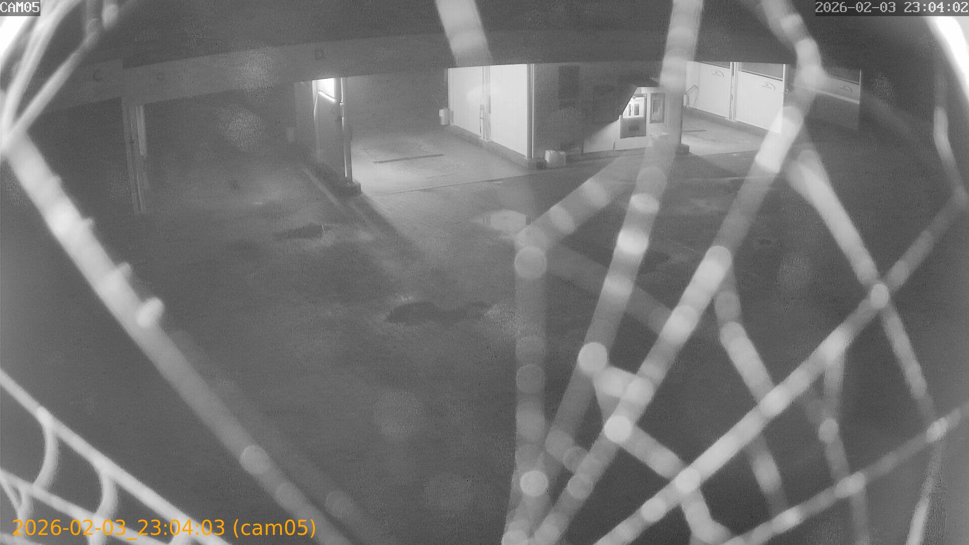 thumbnail_20260203230403